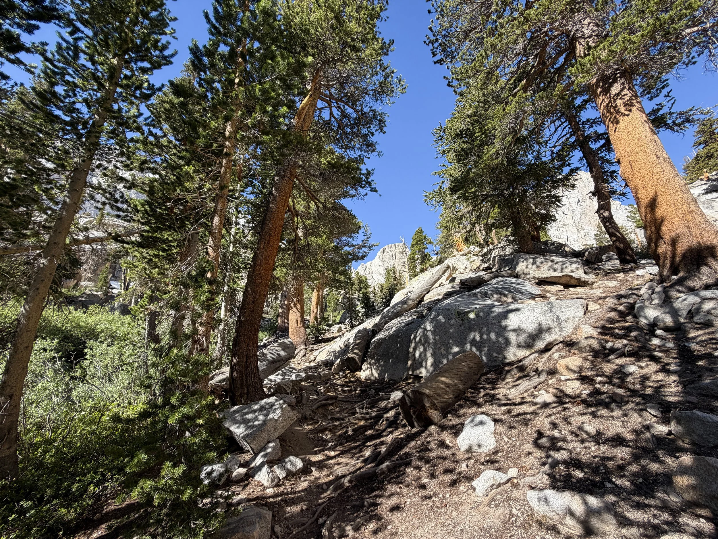 Mount Whitney Trail Lone Pine California