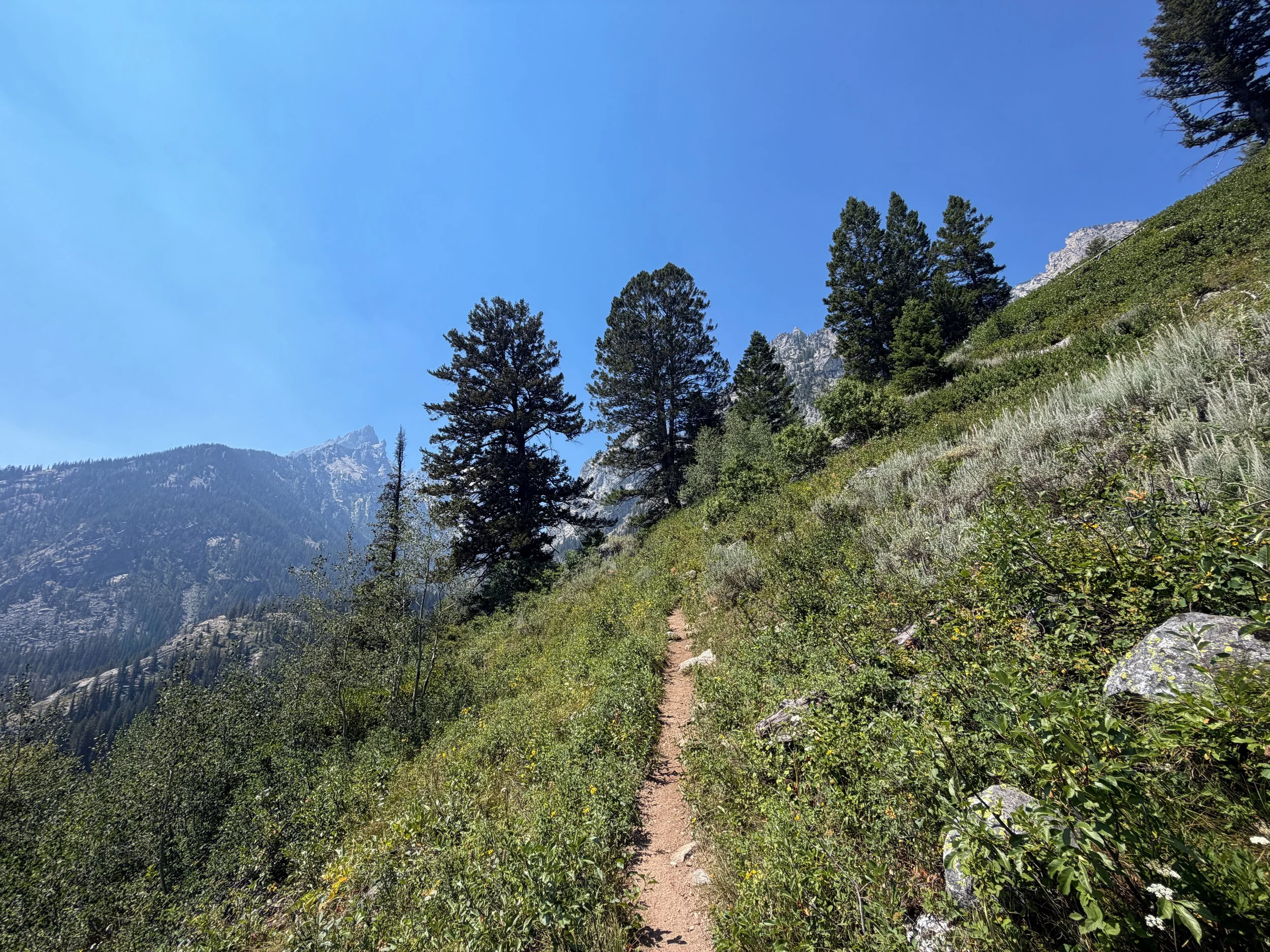 Lake of the Crags Trail Grand Teton National Park Wyoming
