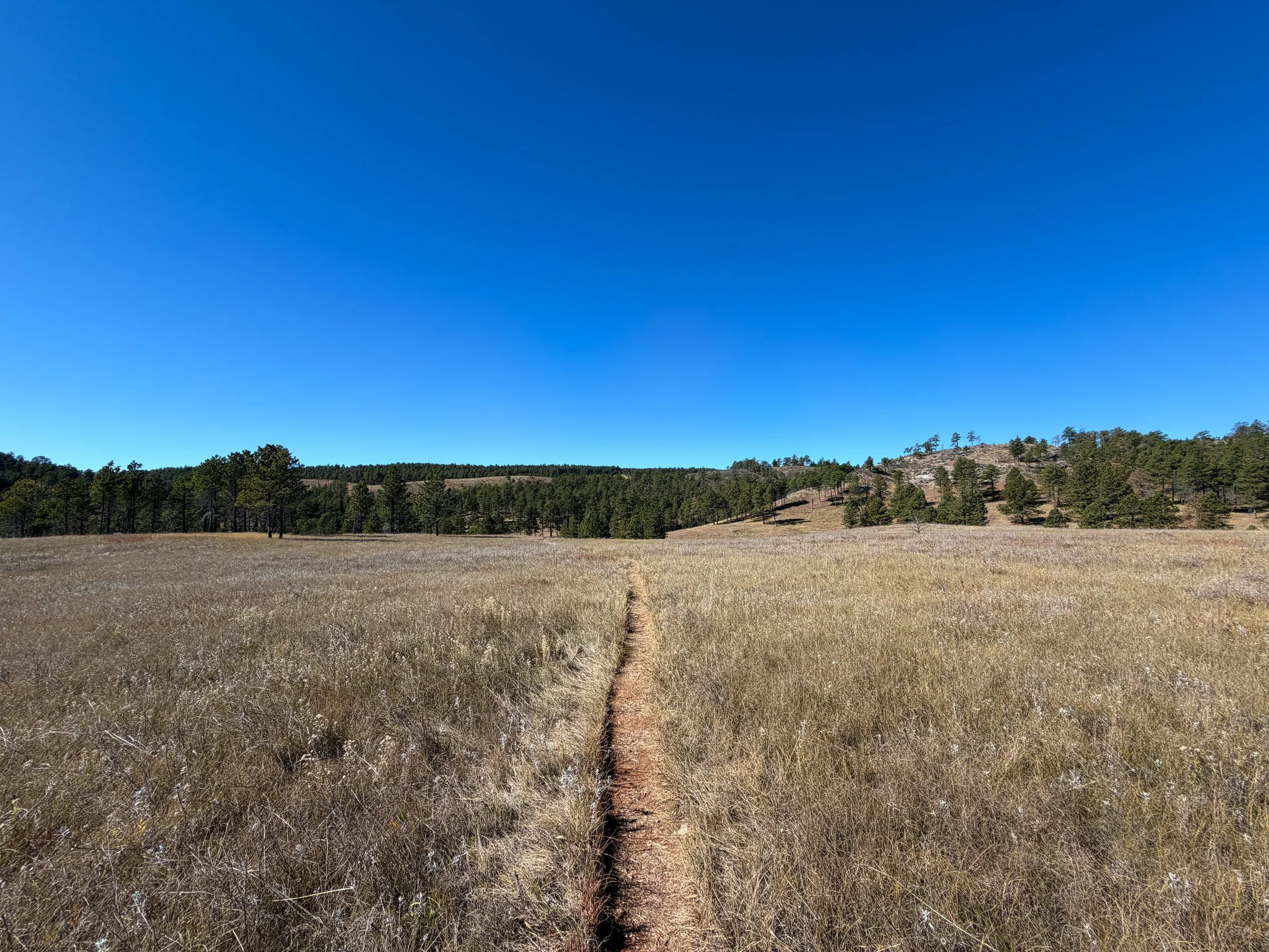 Elk Mountain Loop Trail Wind Cave National Park South Dakota