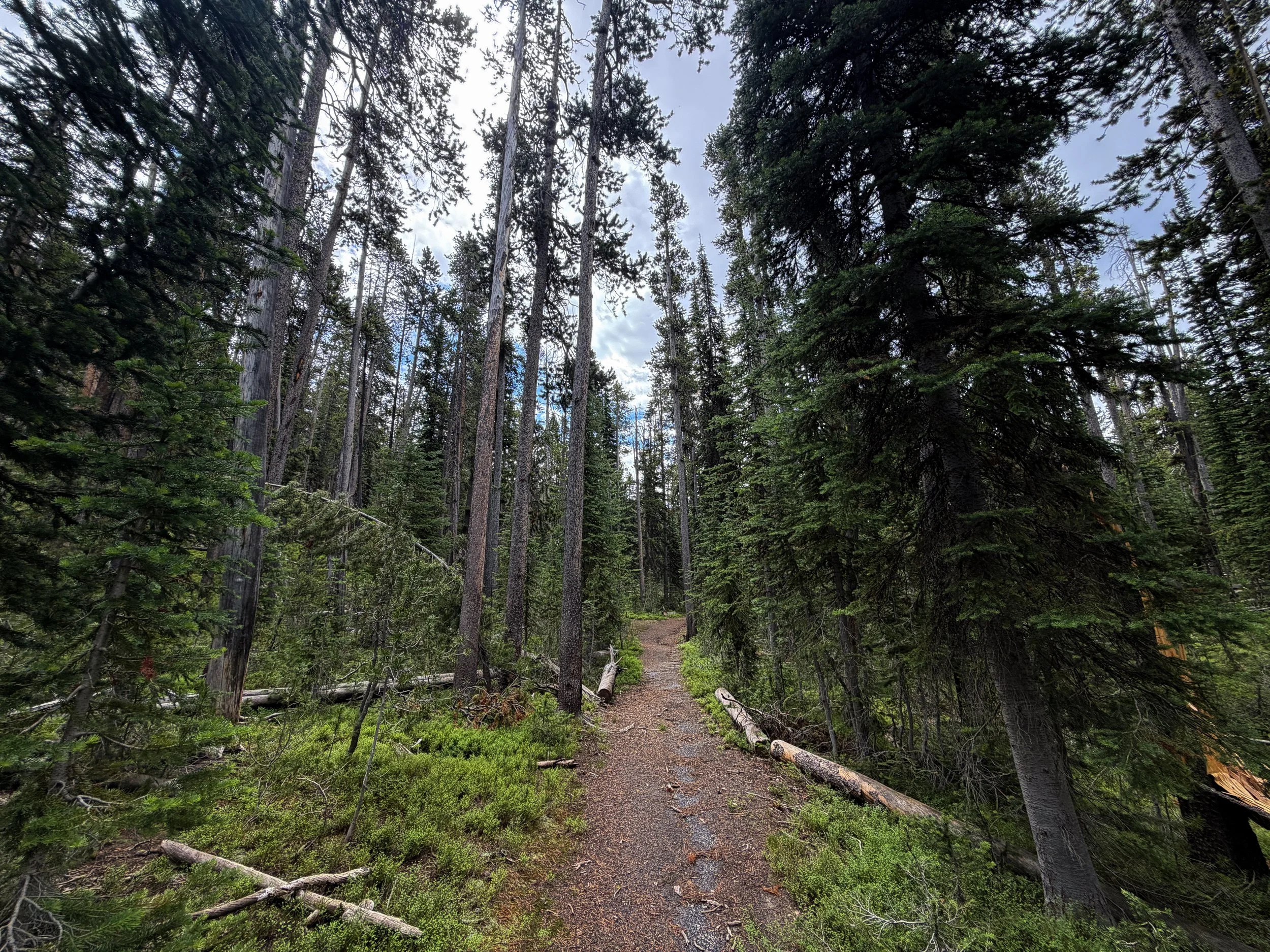 Divide Hike Yellowstone National Park Wyoming