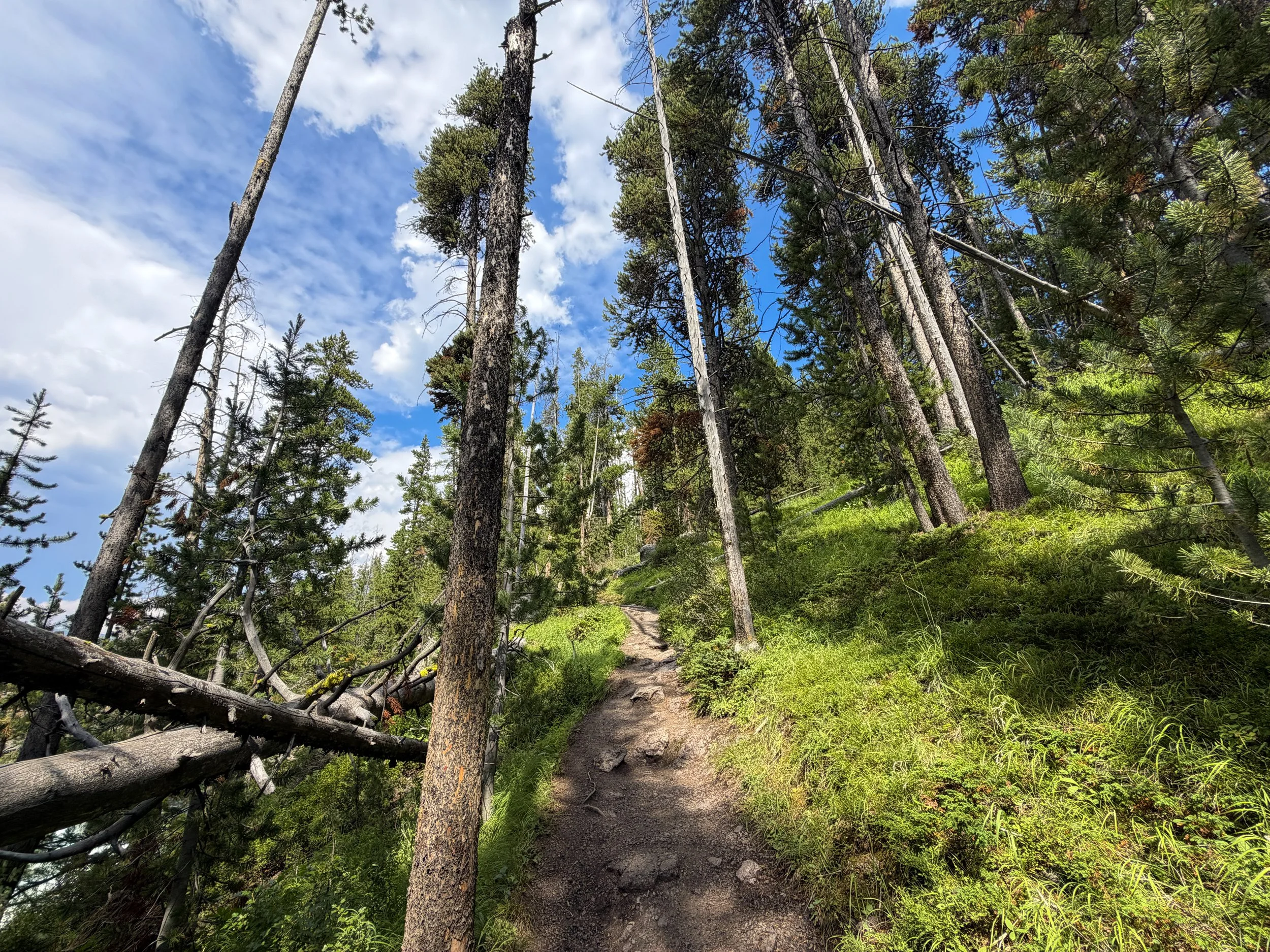 South Rim Trail Yellowstone National Park Wyoming