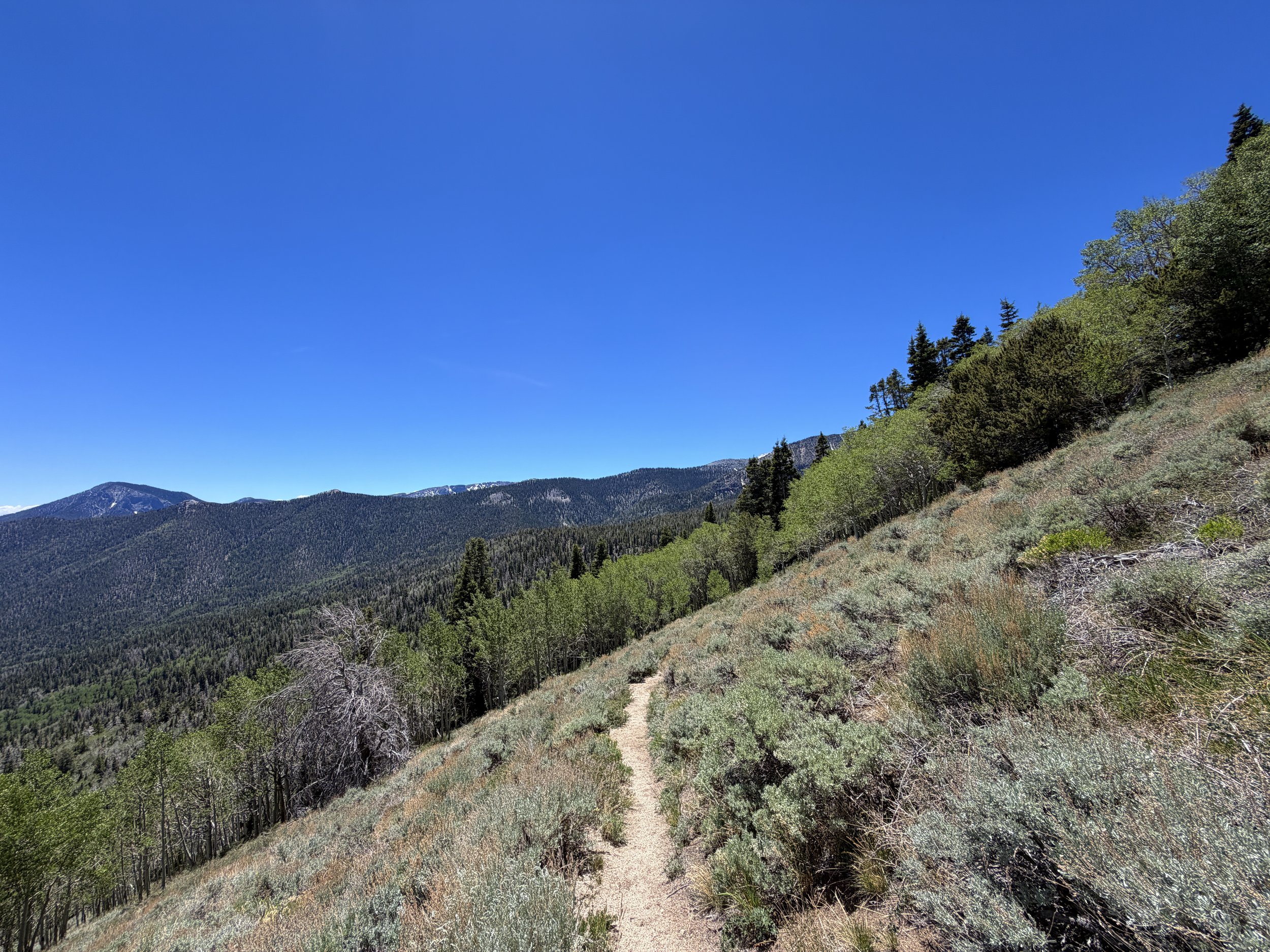 Timber Creek Trail to Johnson Lake Trail Great Basin National Park Nevada