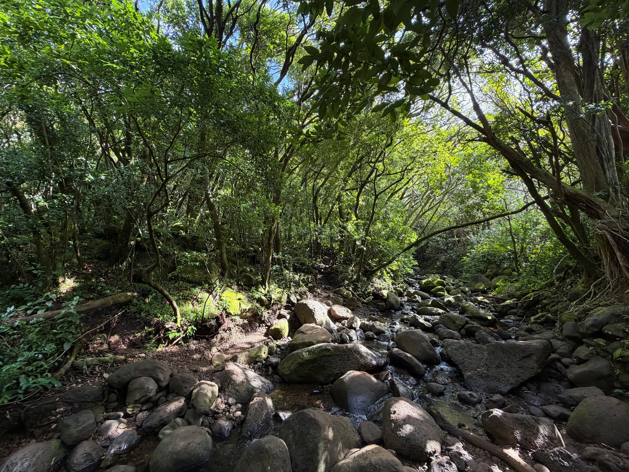 Lulumahu Falls Trail Oahu Hawaii