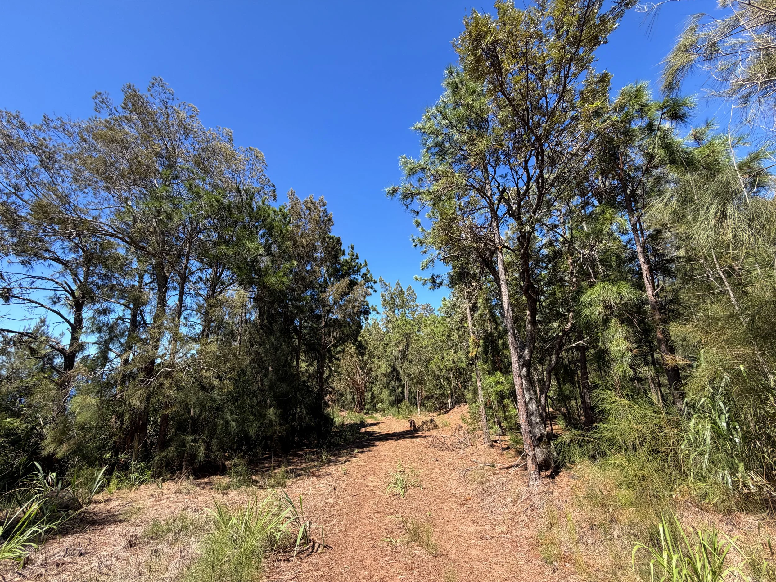 Kuaokala Trail Oahu Hawaii