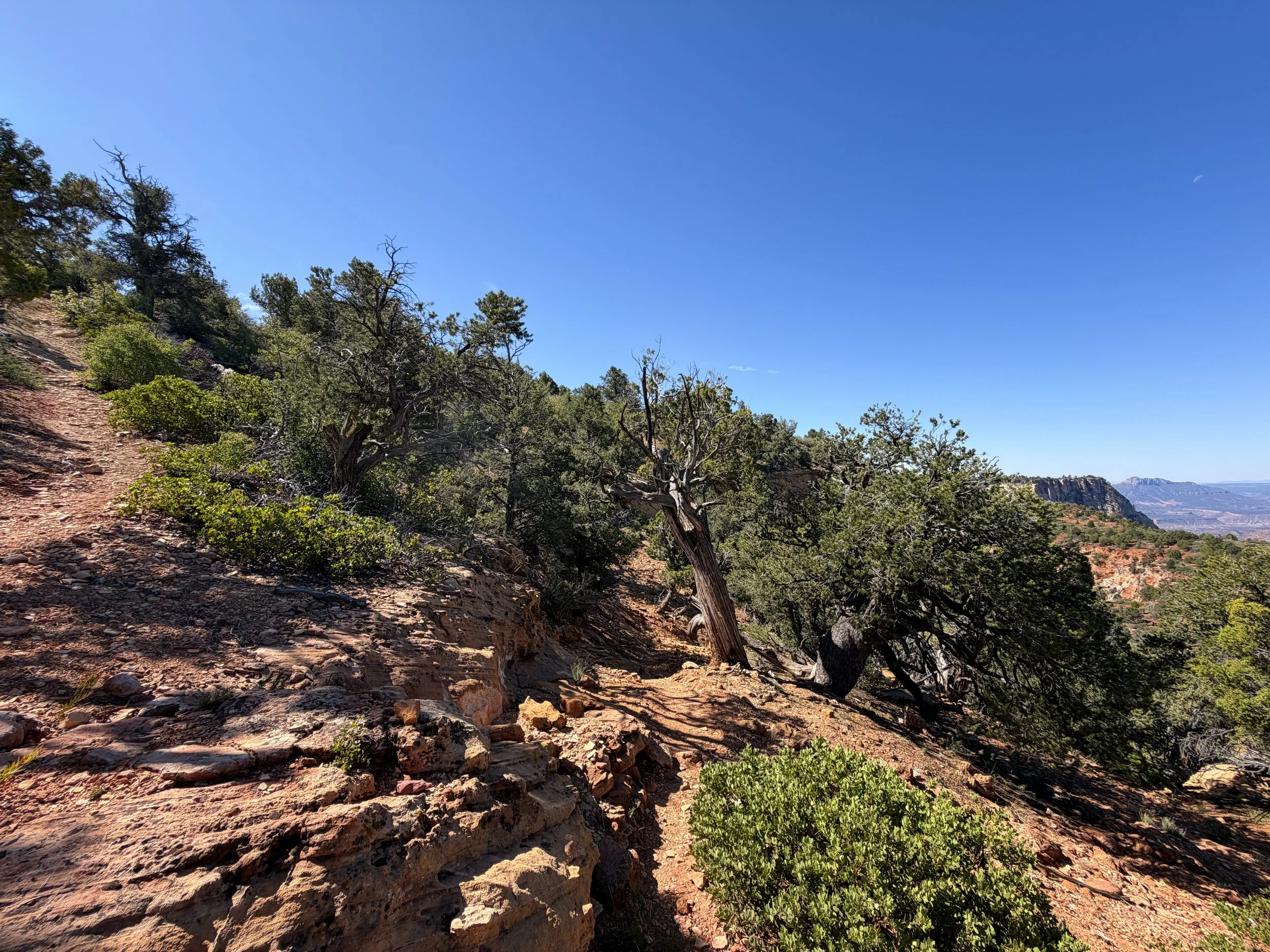 Deertrap Mountain Trail Zion National Park Utah