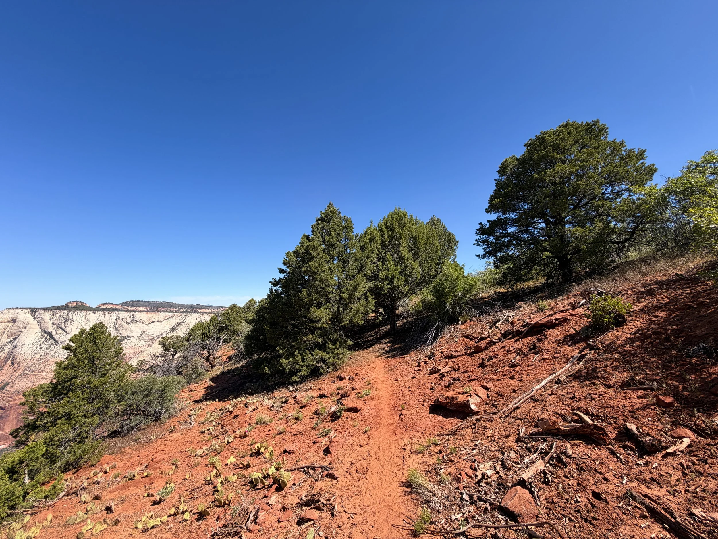 Deertrap Mountain Trail Zion National Park Utah