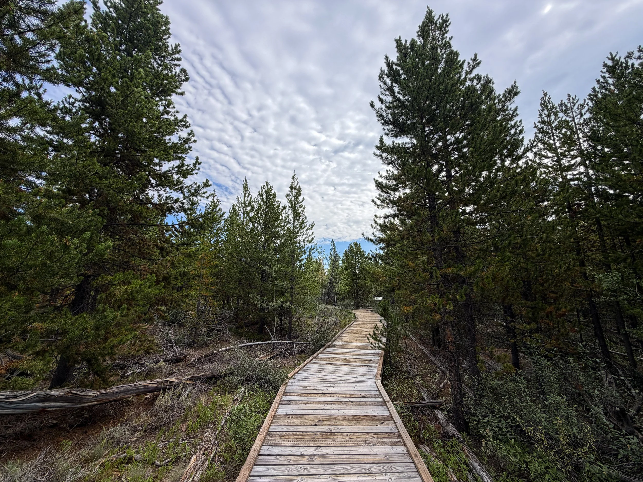 Forces of the Northern Range Hike Yellowstone National Park Wyoming