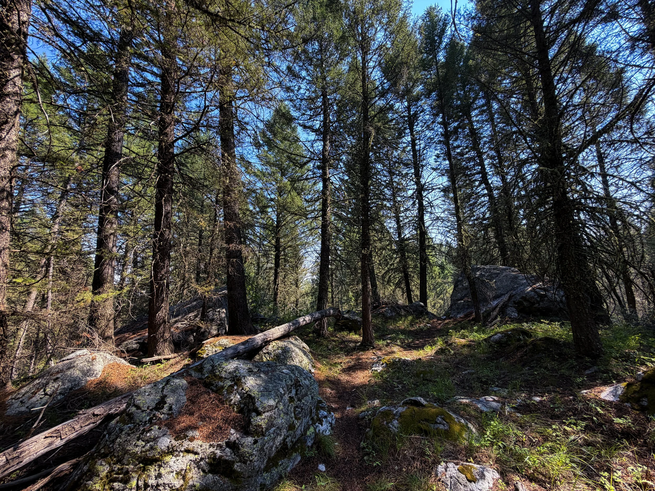 Boulder Field Trail Grand Teton National Park Wyoming