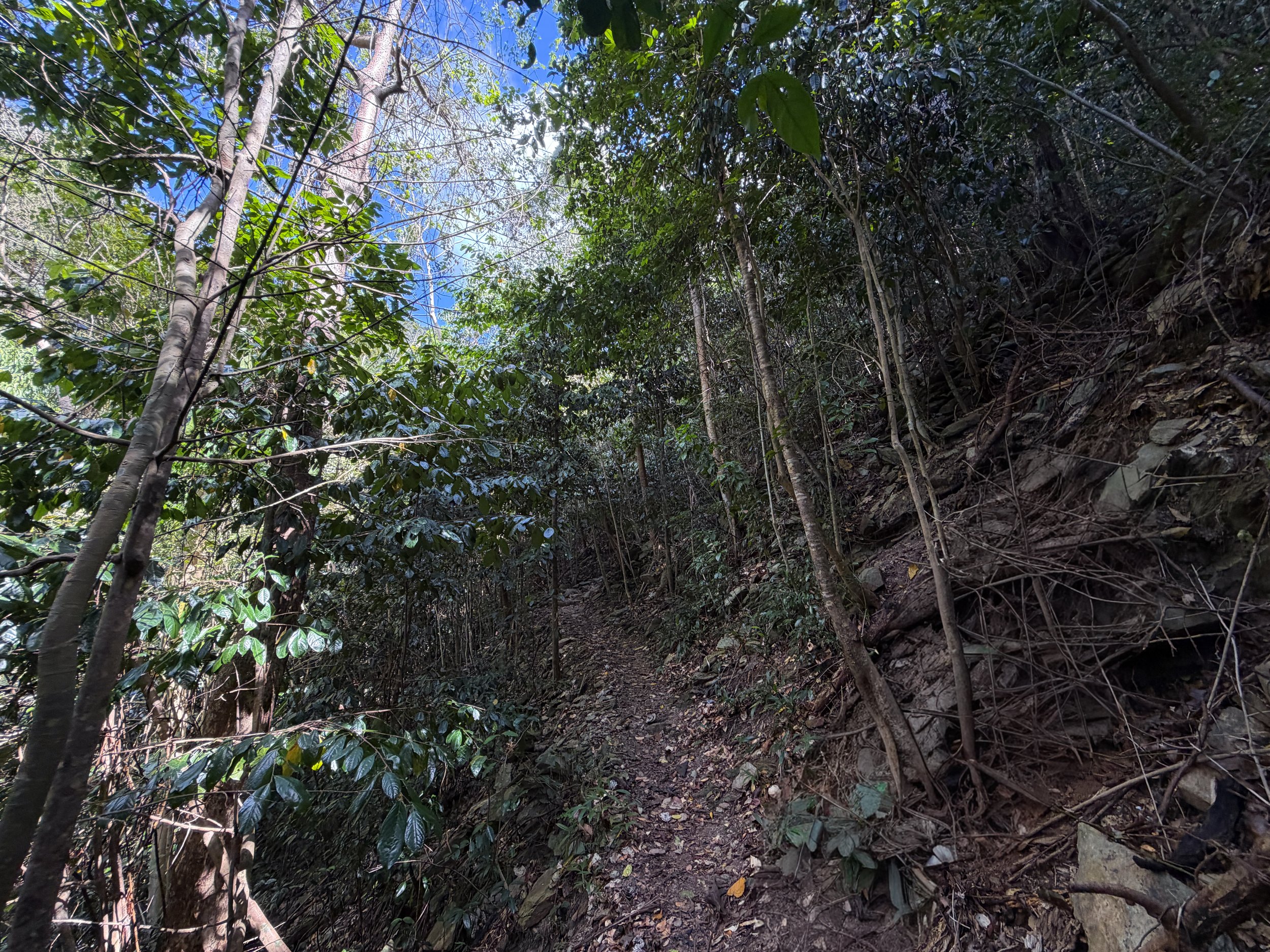 Cinnamon Bay Trail Virgin Islands National Park