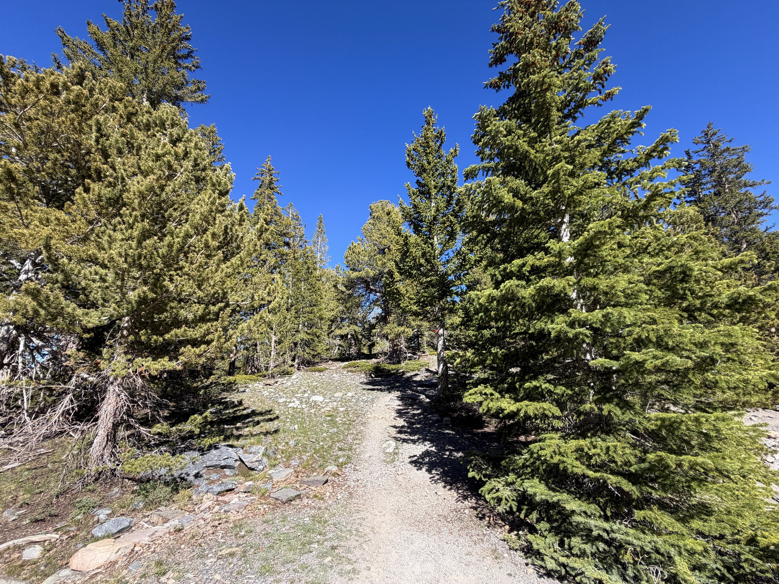 Alpine Lakes Loop Trail Great Basin National Park Nevada