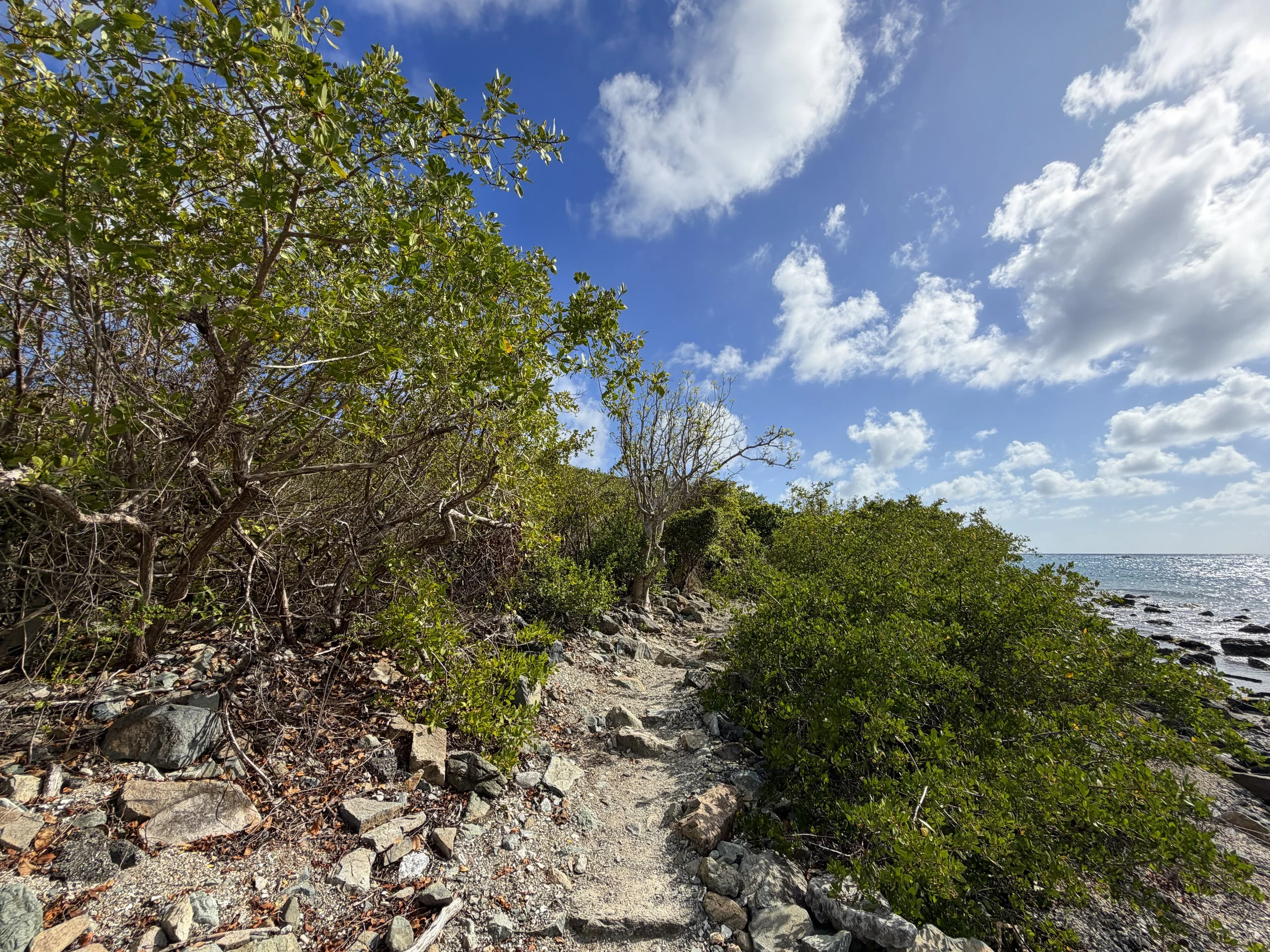 Ram Head Trail Virgin Islands National Park