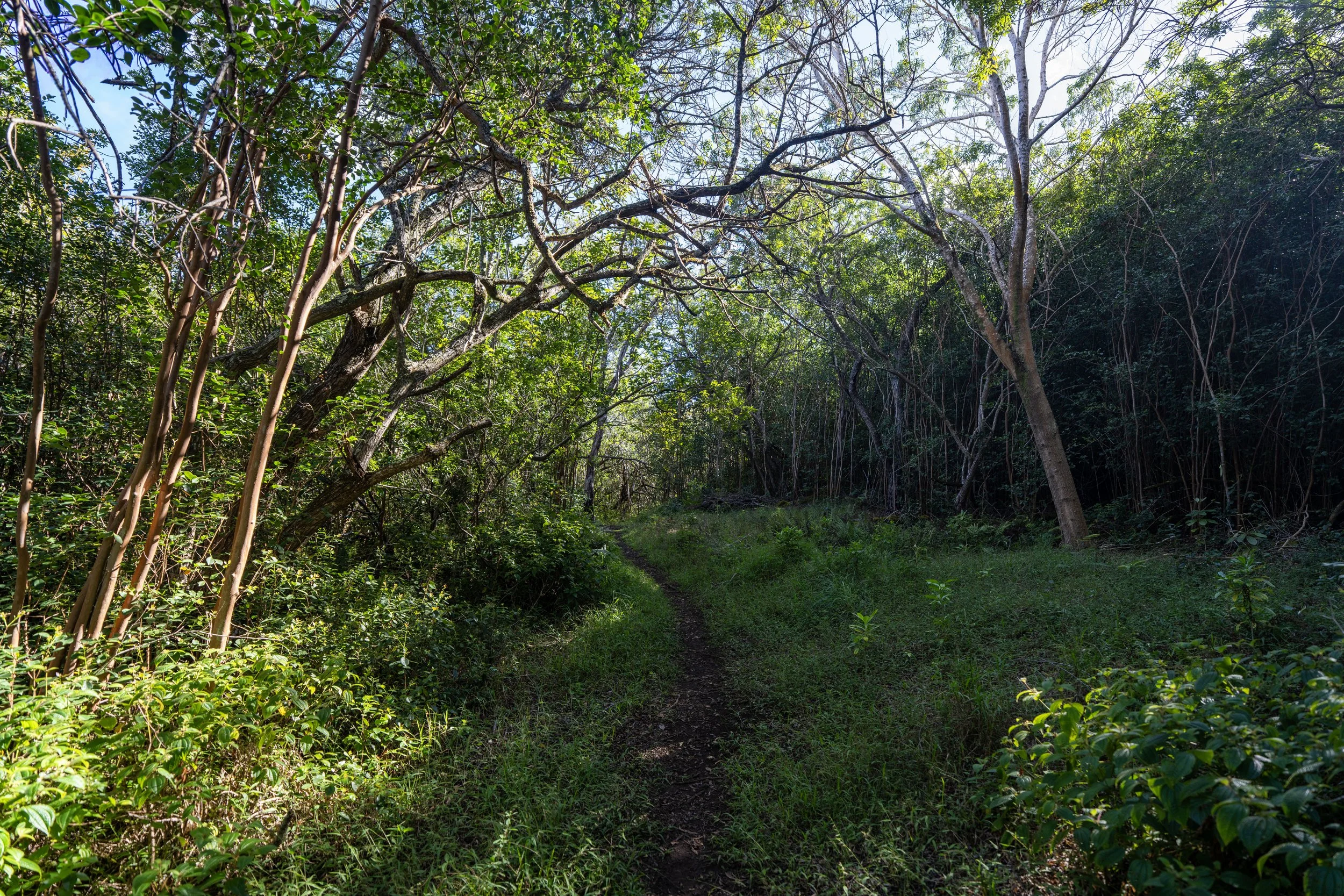 Mokuleia Trail Oahu Hawaii