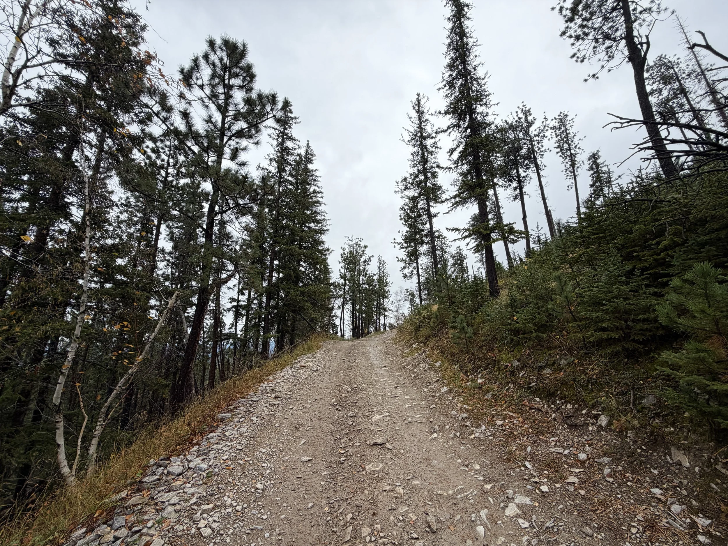 Custer Peak Lookout Hike Black Hills South Dakota