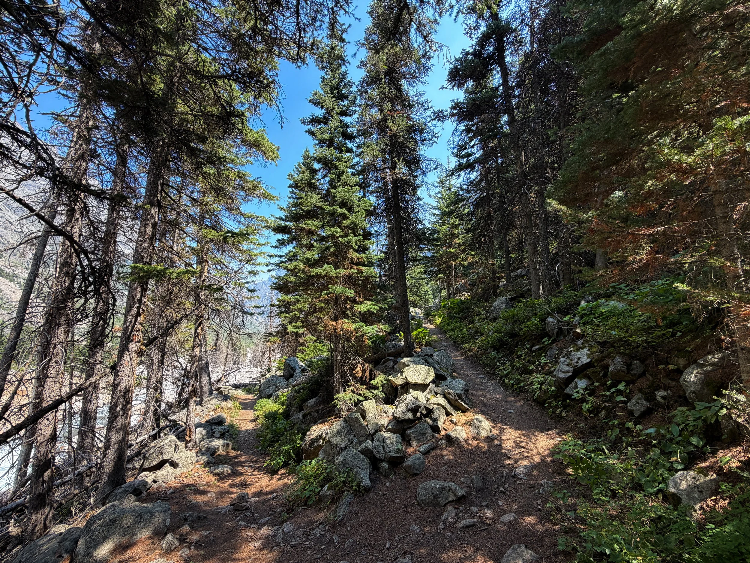 East Rosebud Trail Beaten Path Beartooth Mountains Montana