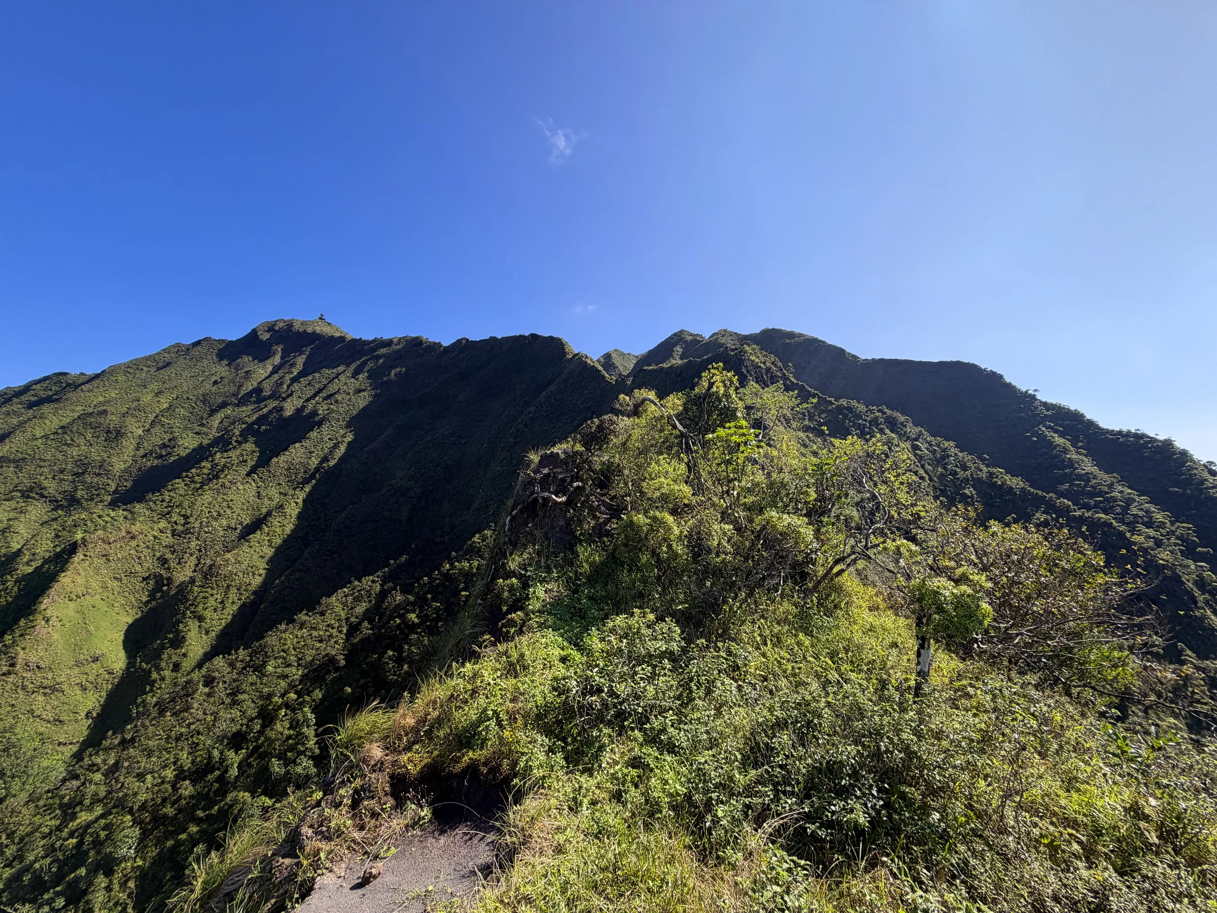 Moanalua Saddle KST Oahu Hawaii