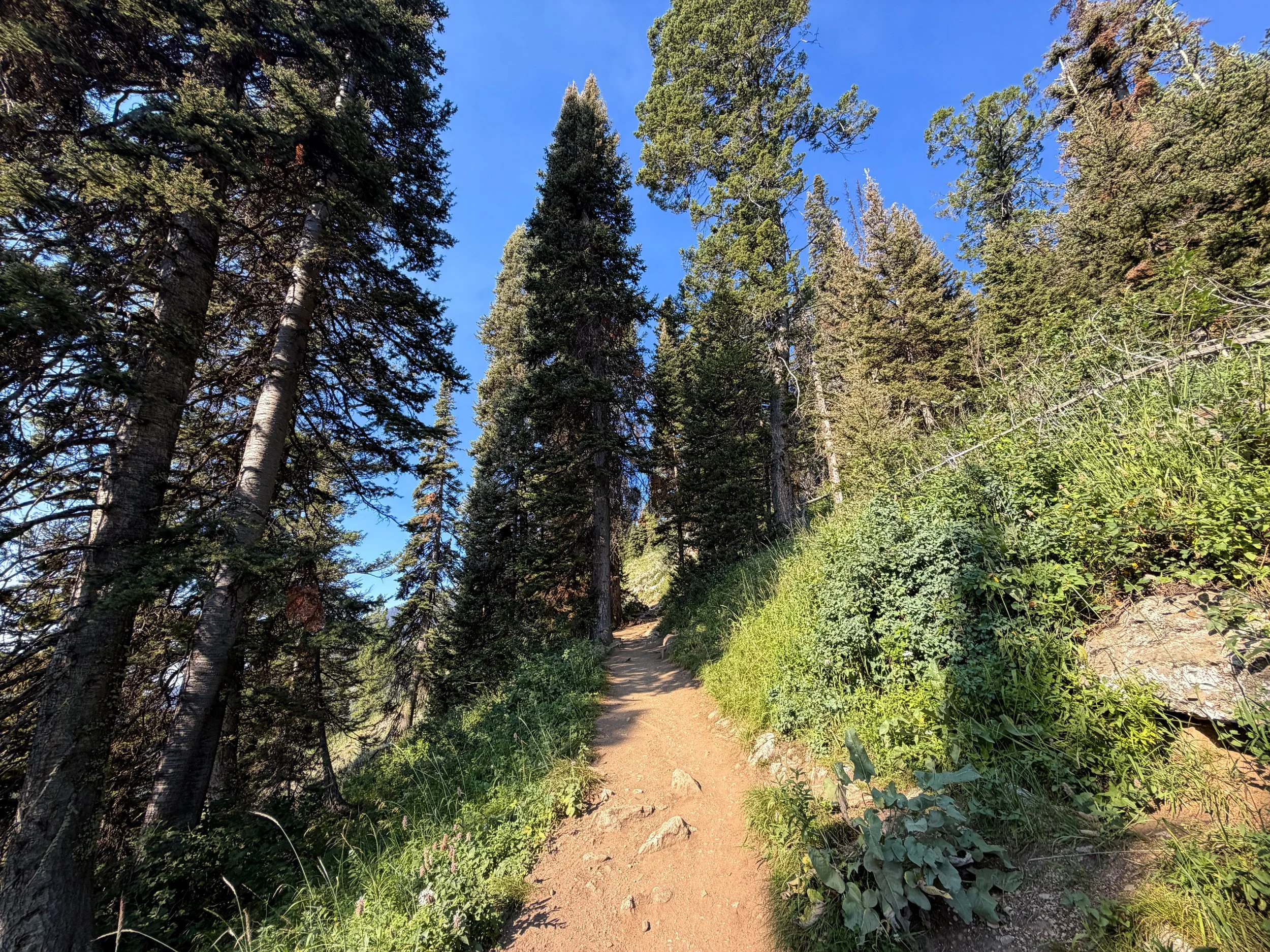Delta Lake Trail Grand Teton National Park Wyoming