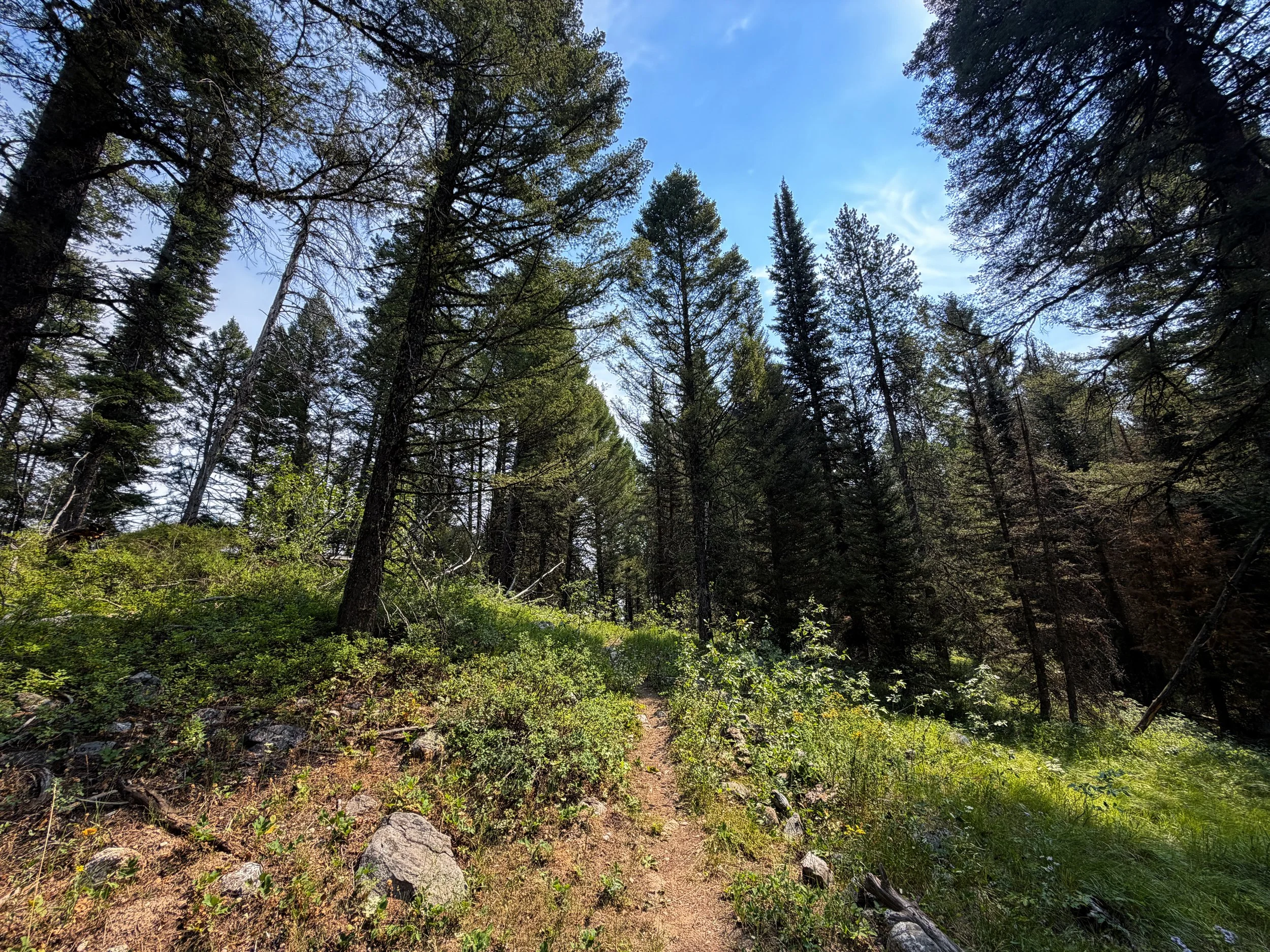 Boulder Ridge Loop Trail Grand Teton National Park Wyoming