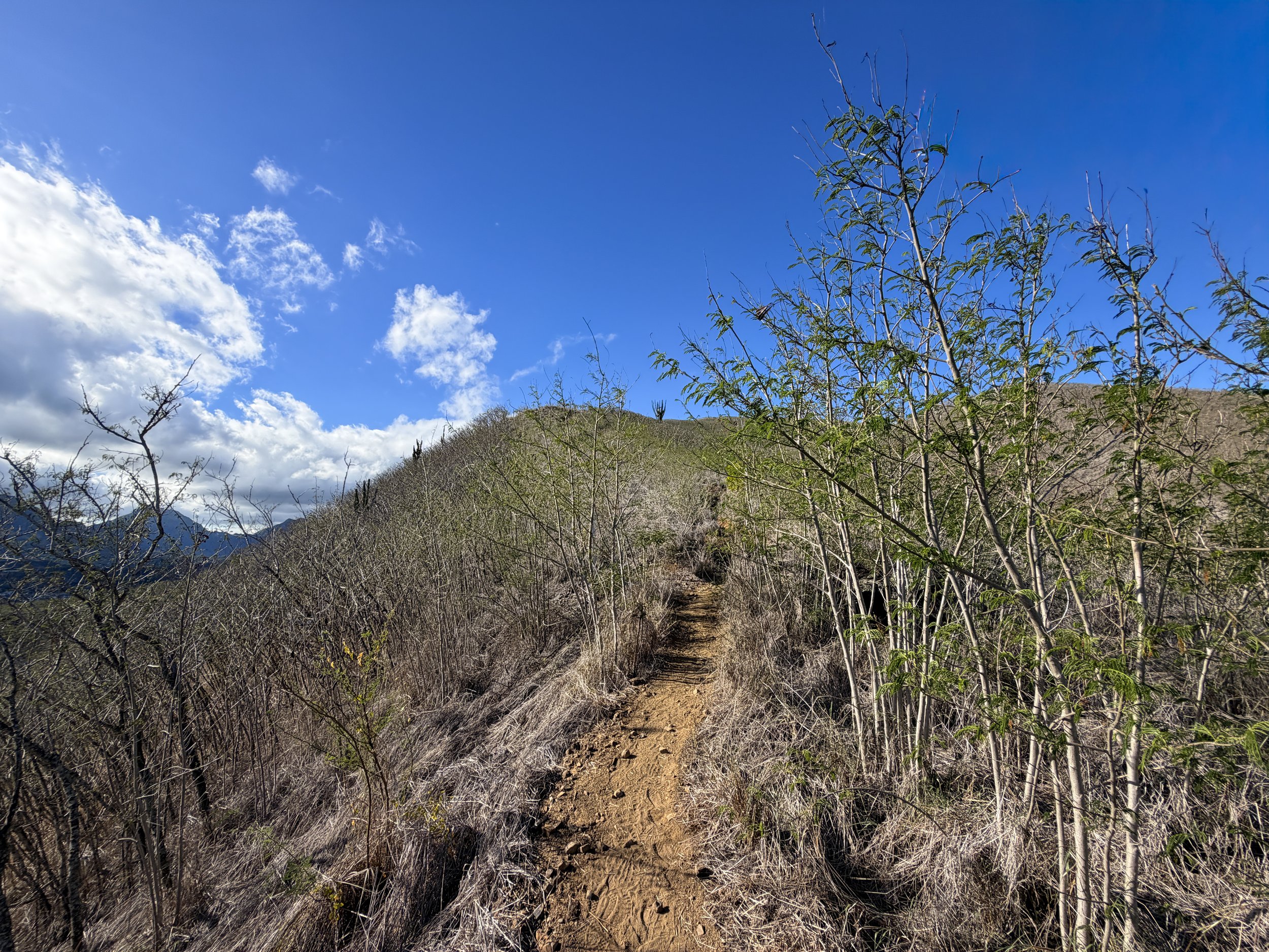 Back Lanikai Pillbox Hike Oahu Hawaii