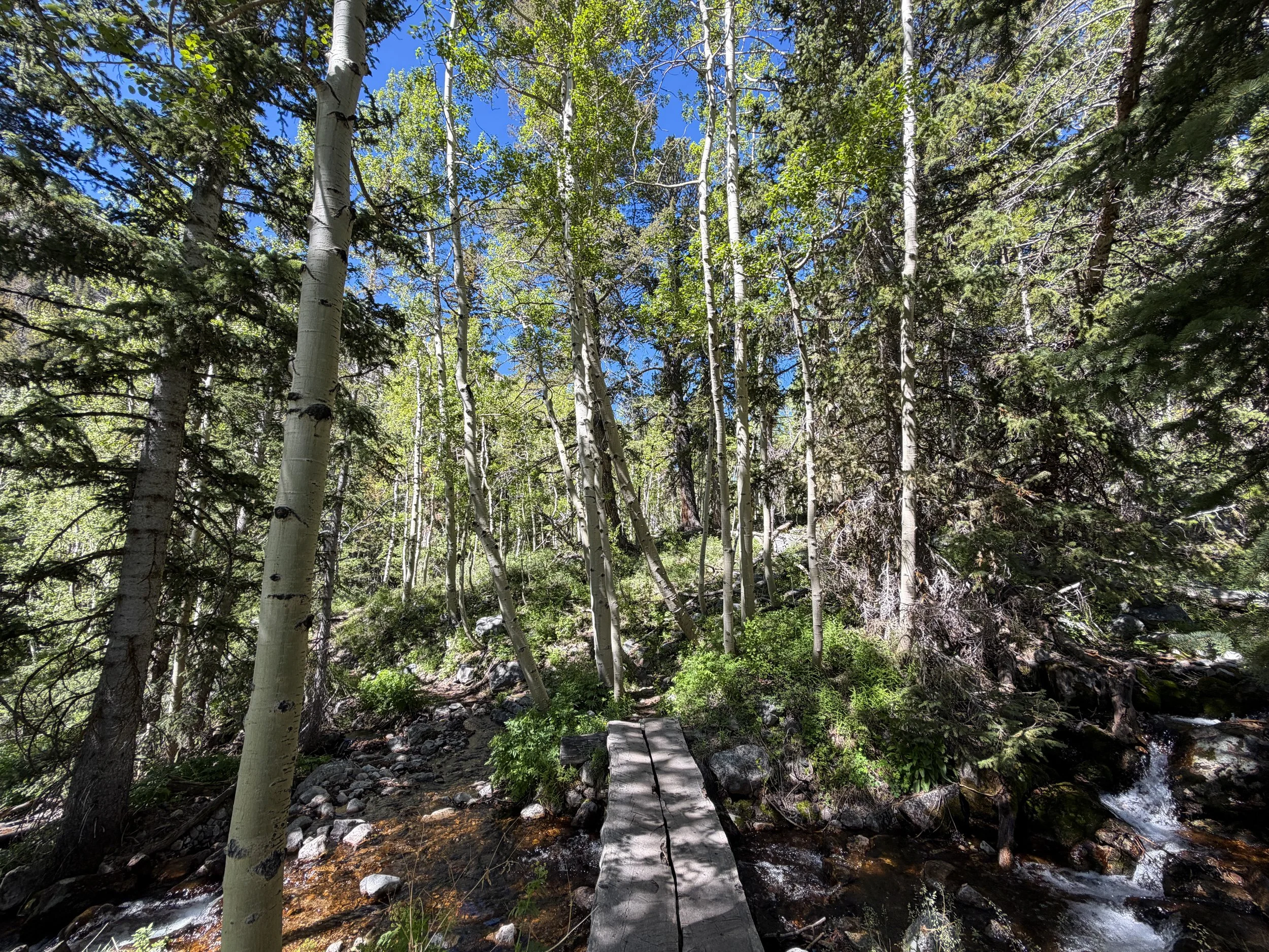 Baker Lake Trail Great Basin National Park Nevada