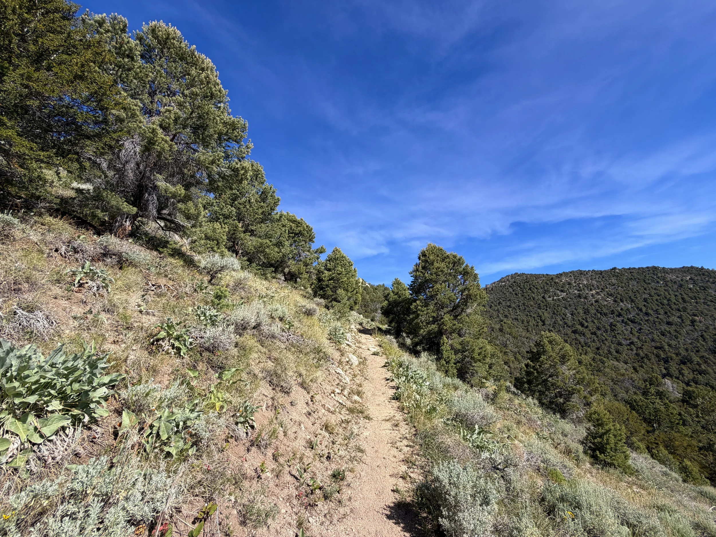 Pole Canyon Hike Great Basin National Park Nevada