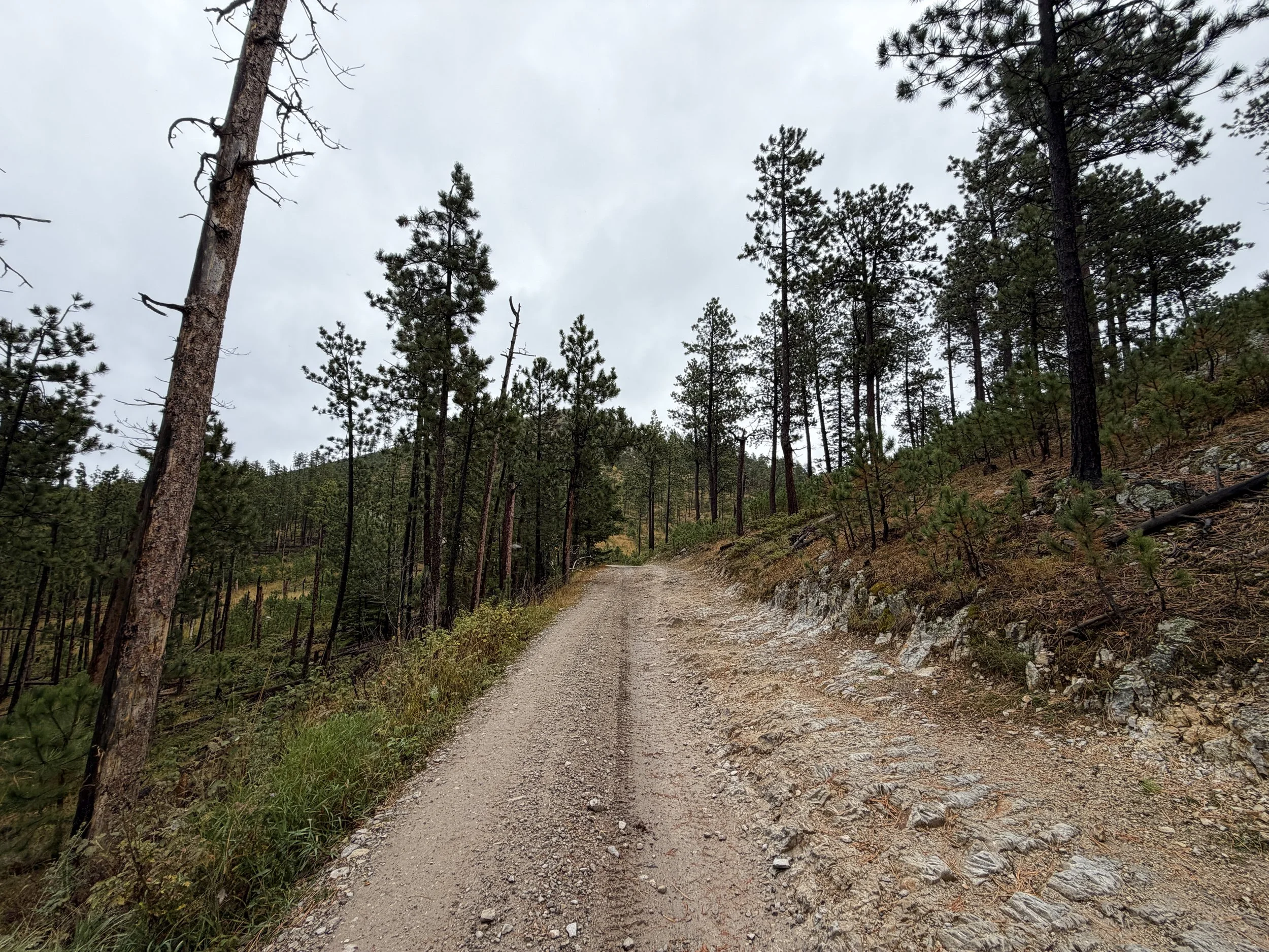 Custer Peak Fire Lookout Trail Black Hills South Dakota