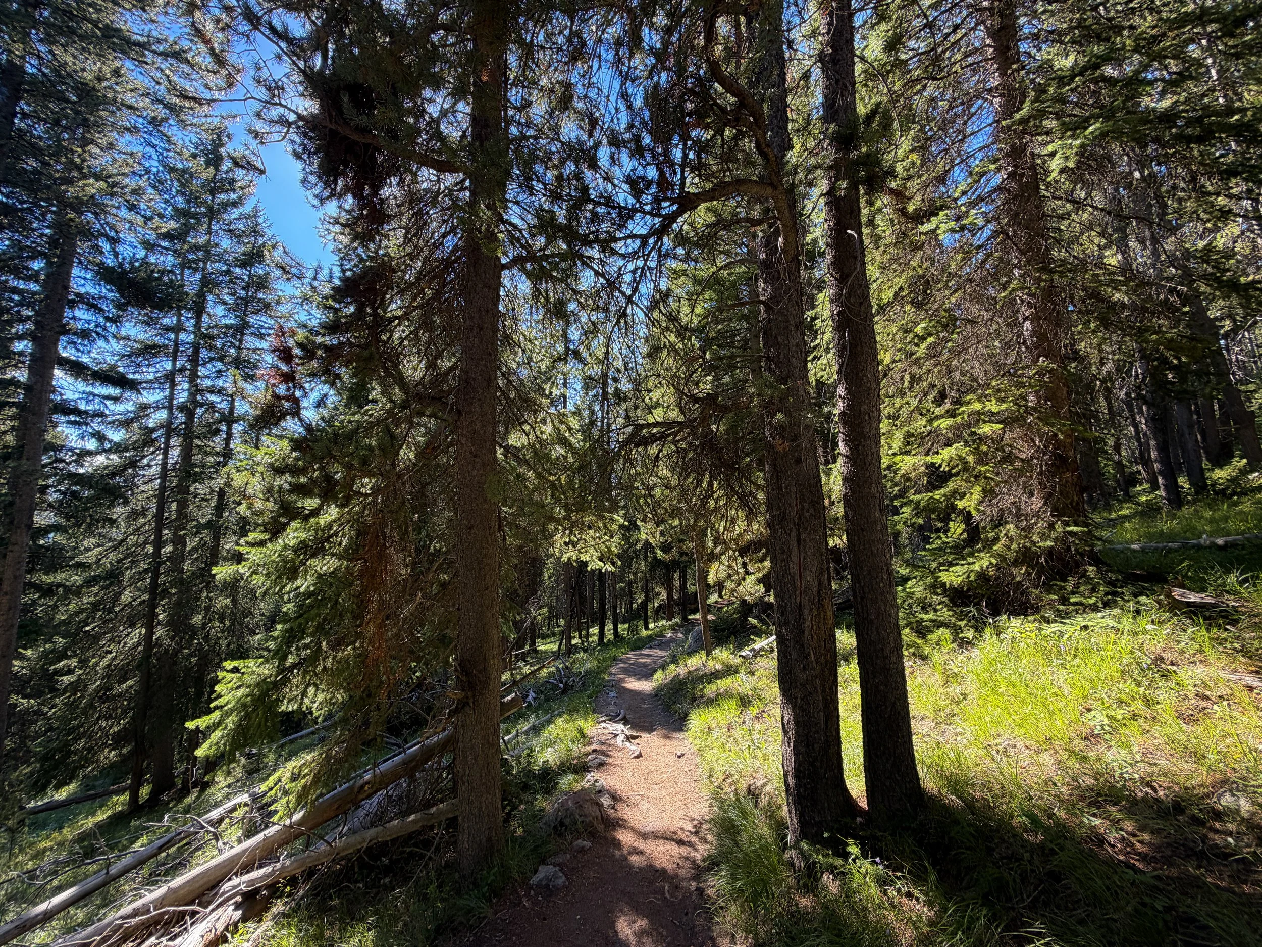 Observation Point Trail Yellowstone National Park Wyoming