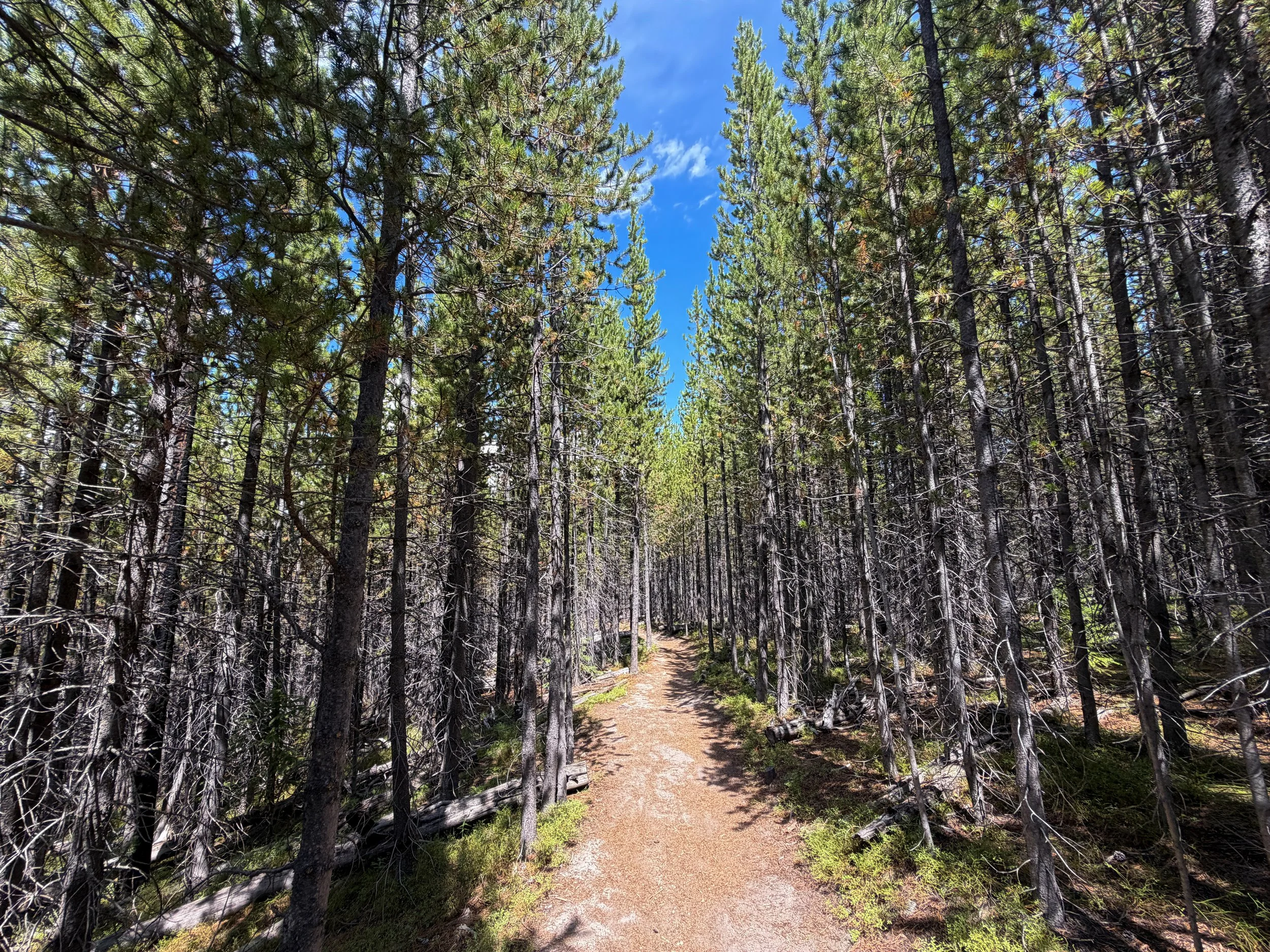 Duck Lake Hike Yellowstone National Park Wyoming