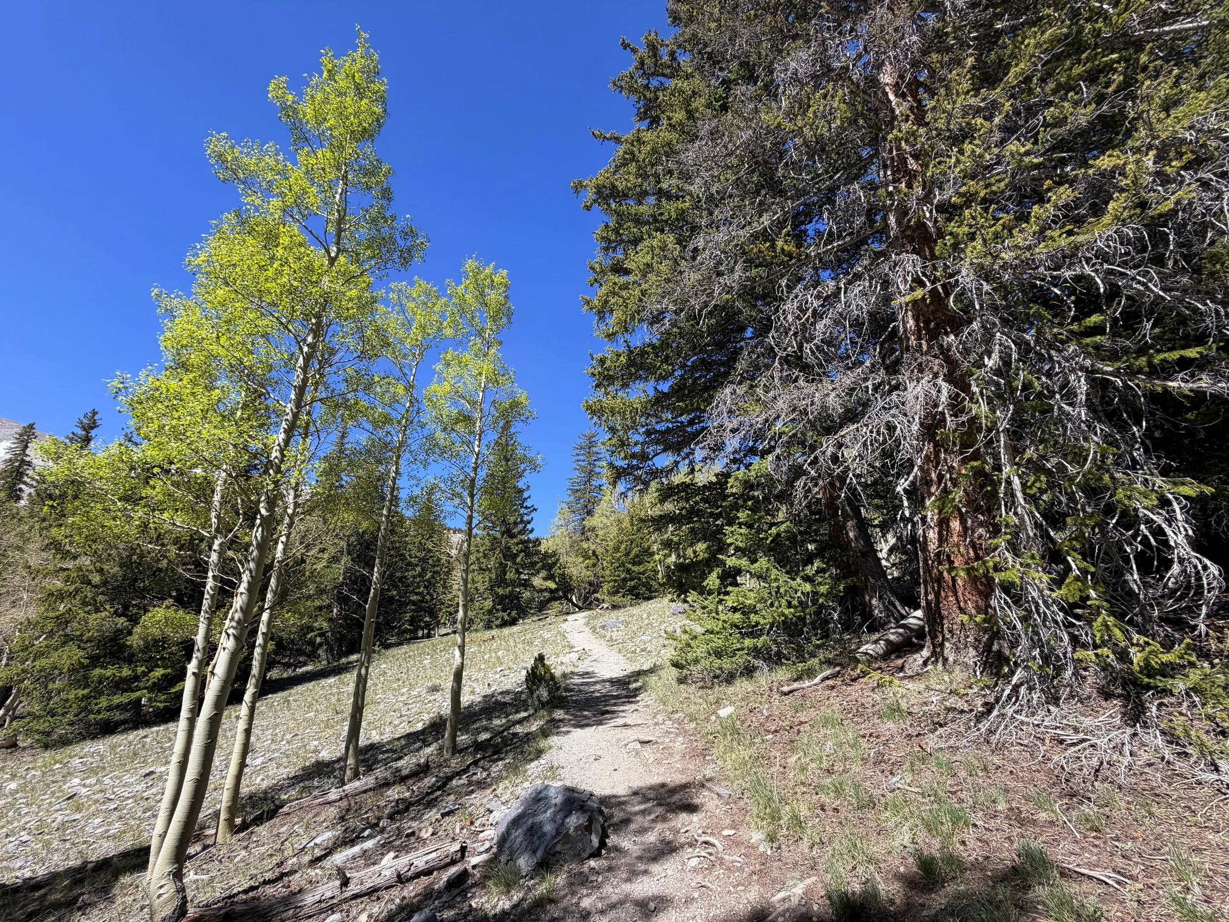 Alpine Lakes Hike Great Basin National Park Nevada