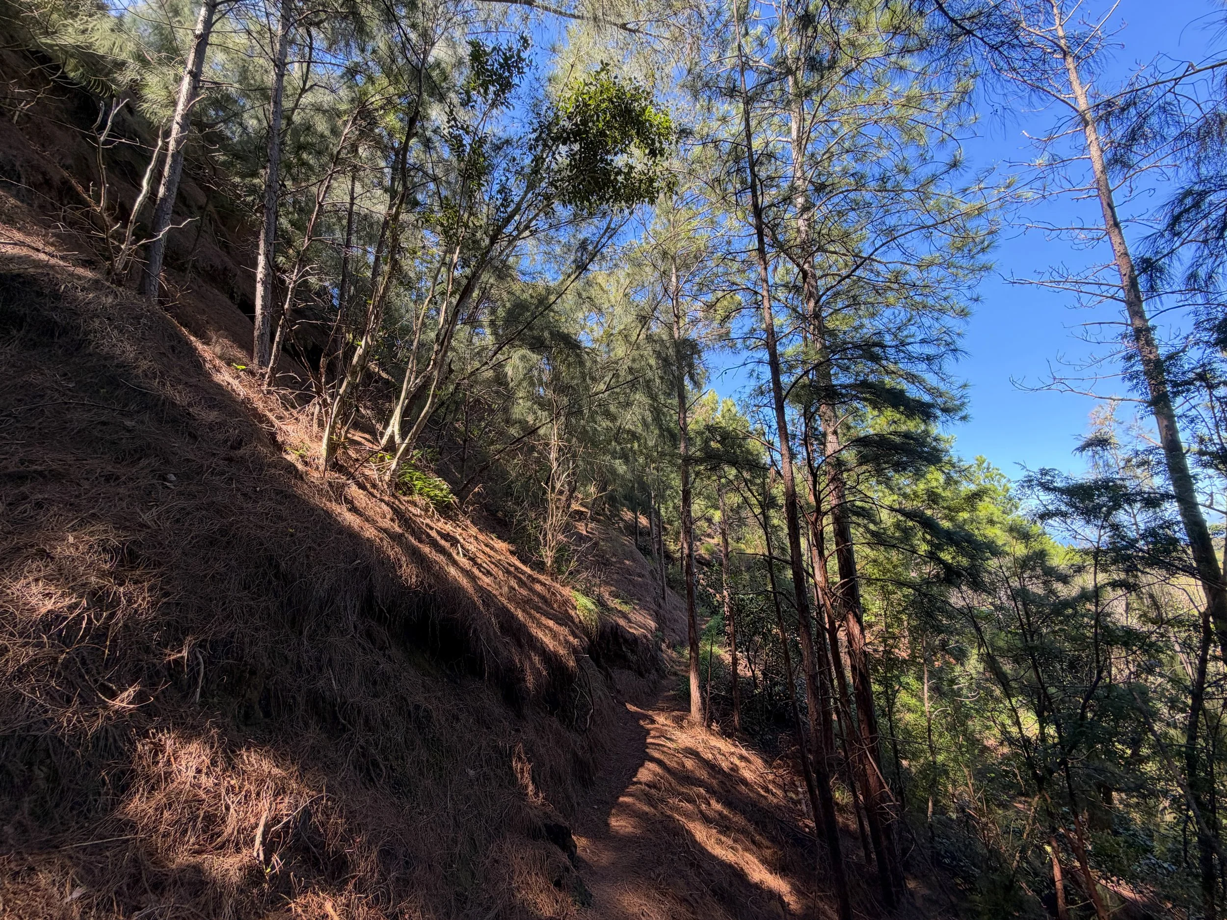Kuaokala Trail Oahu Hawaii