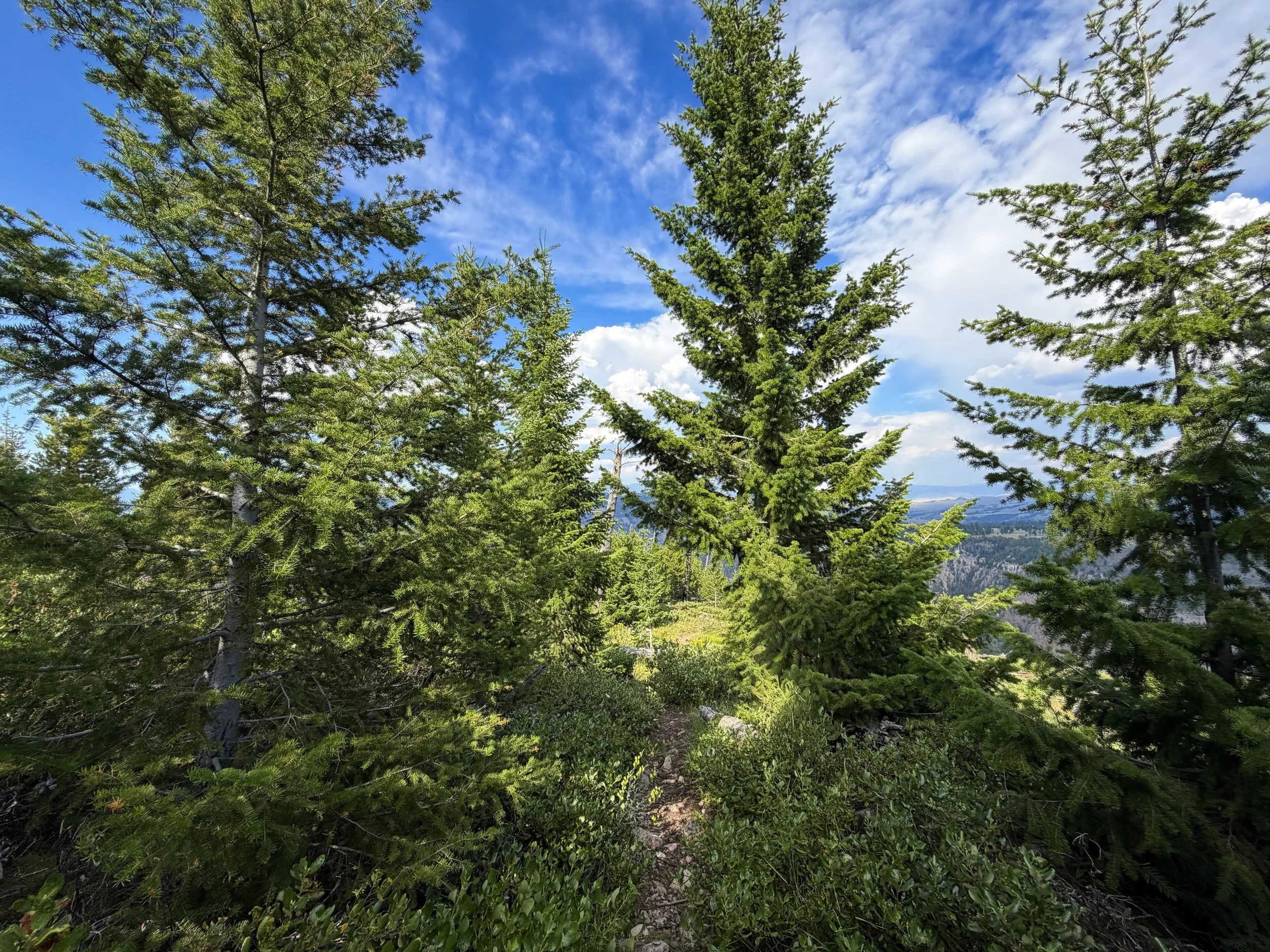 Bunsen Peak Trail Yellowstone National Park Wyoming