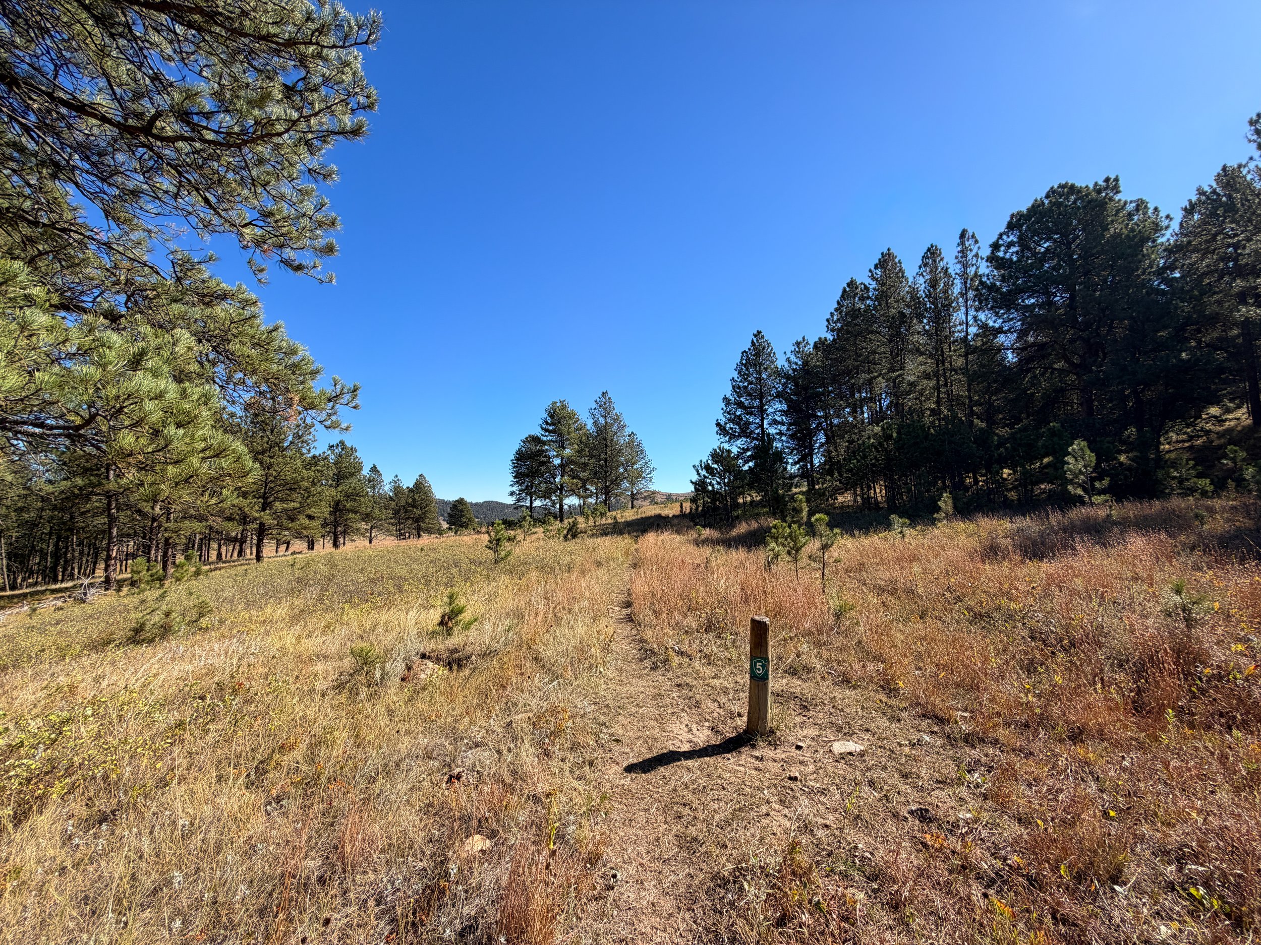 Sanctuary Trail Wind Cave National Park South Dakota