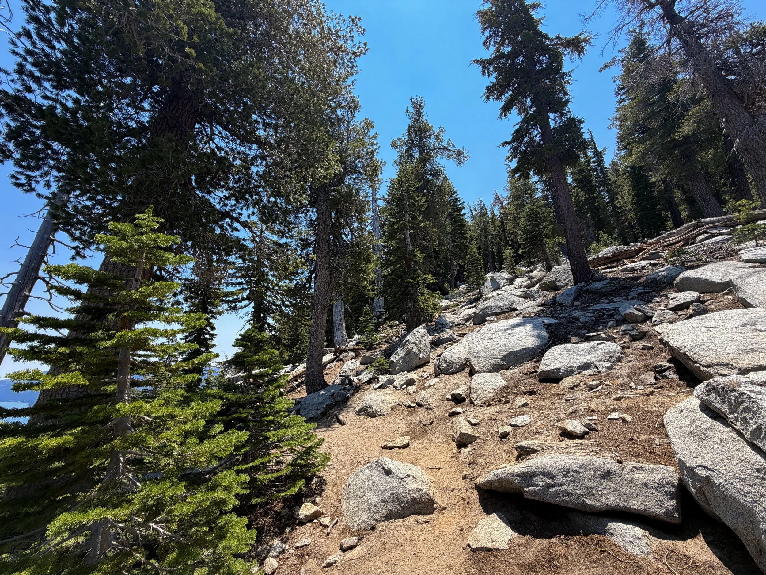 Maggies Peak Trail Lake Tahoe California