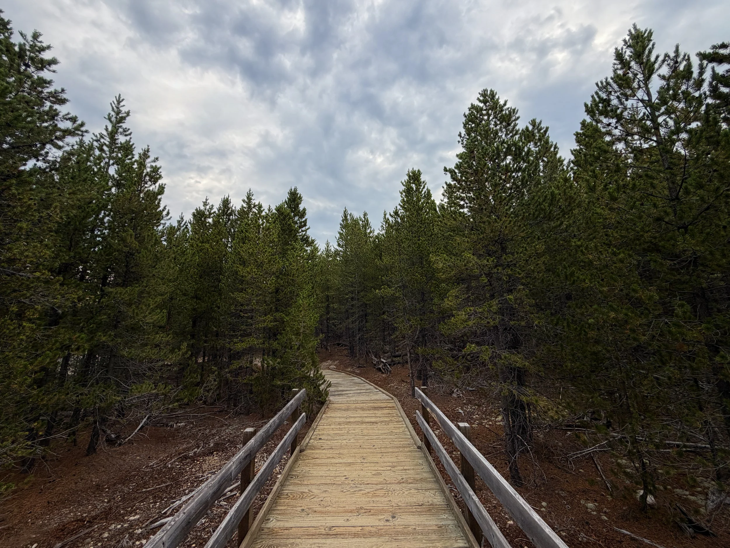 Norris Geyser Basin Trail Yellowstone National Park Wyoming