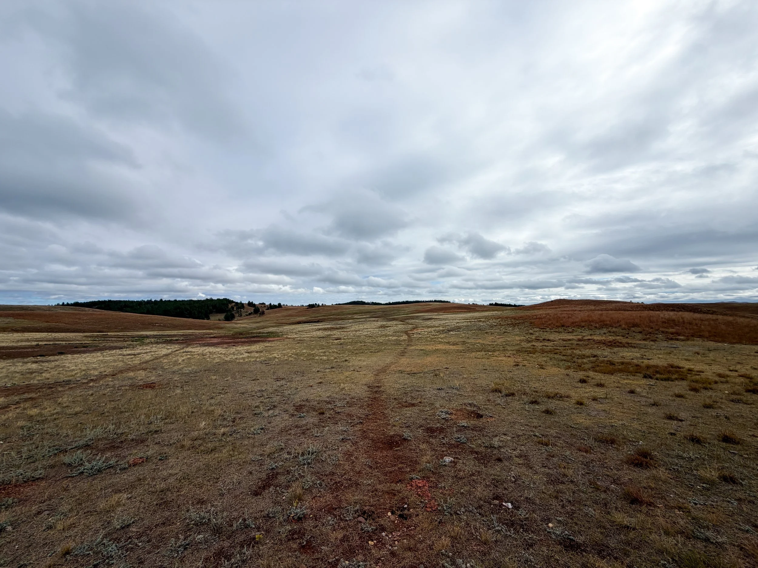Highland Creek Trail Wind Cave National Park South Dakota