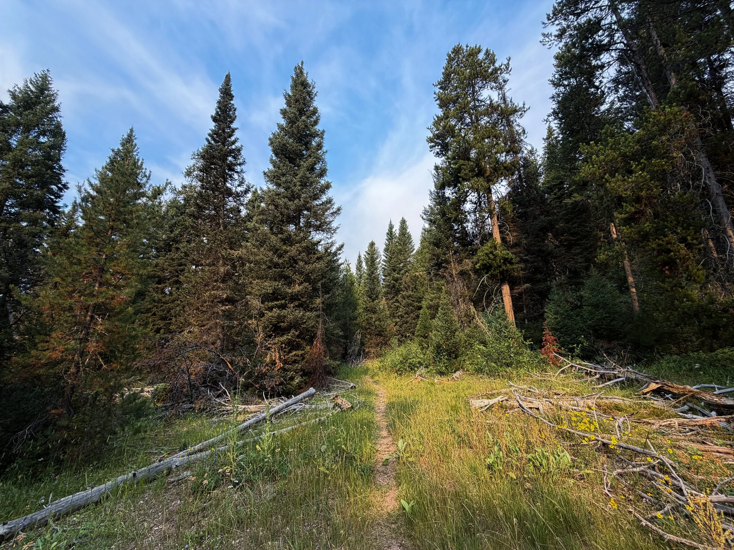 Boulder Aspen Ridge Loop Trail Grand Teton National Park Wyoming