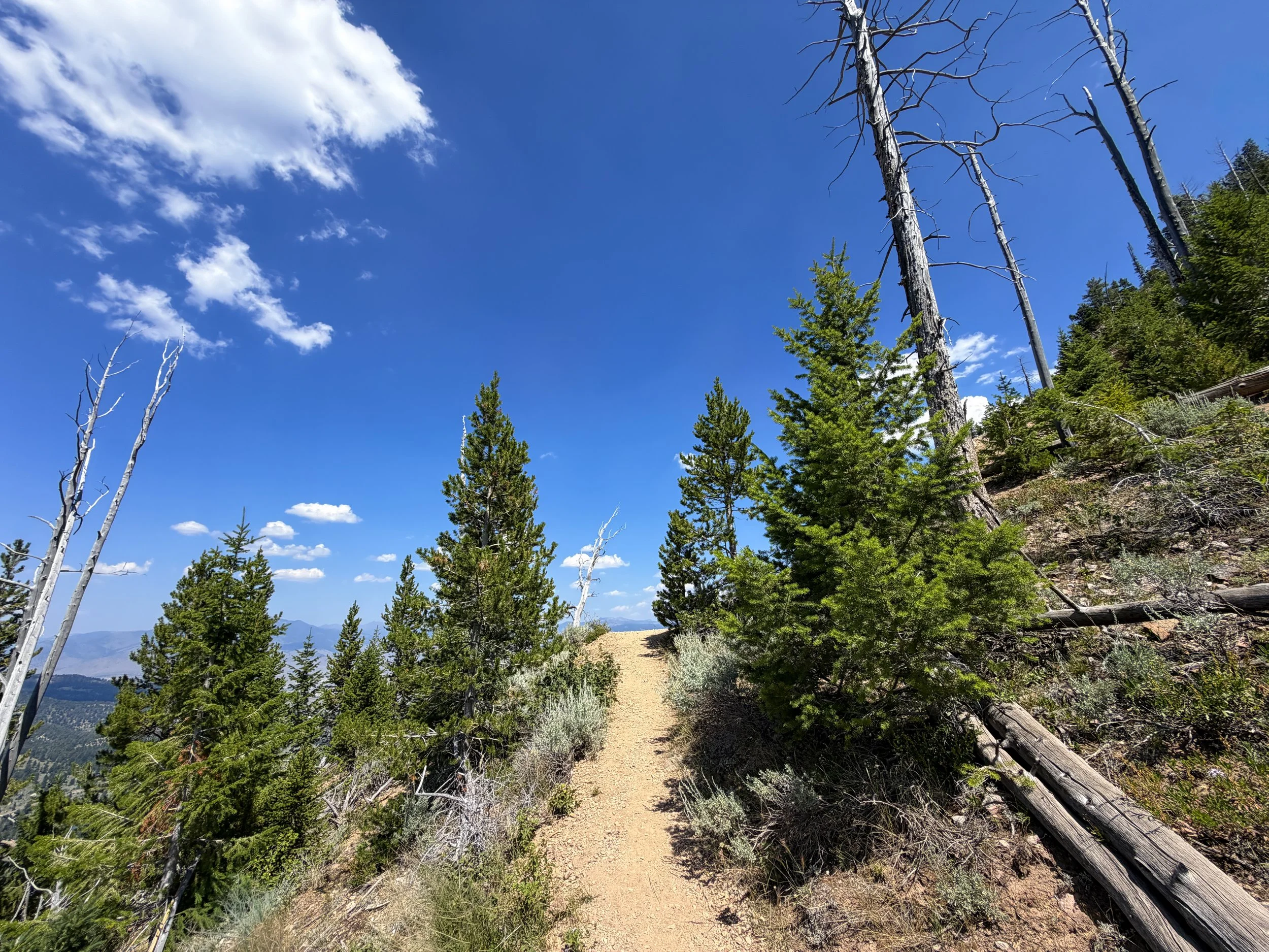 Bunsen Peak Hike Yellowstone National Park Wyoming