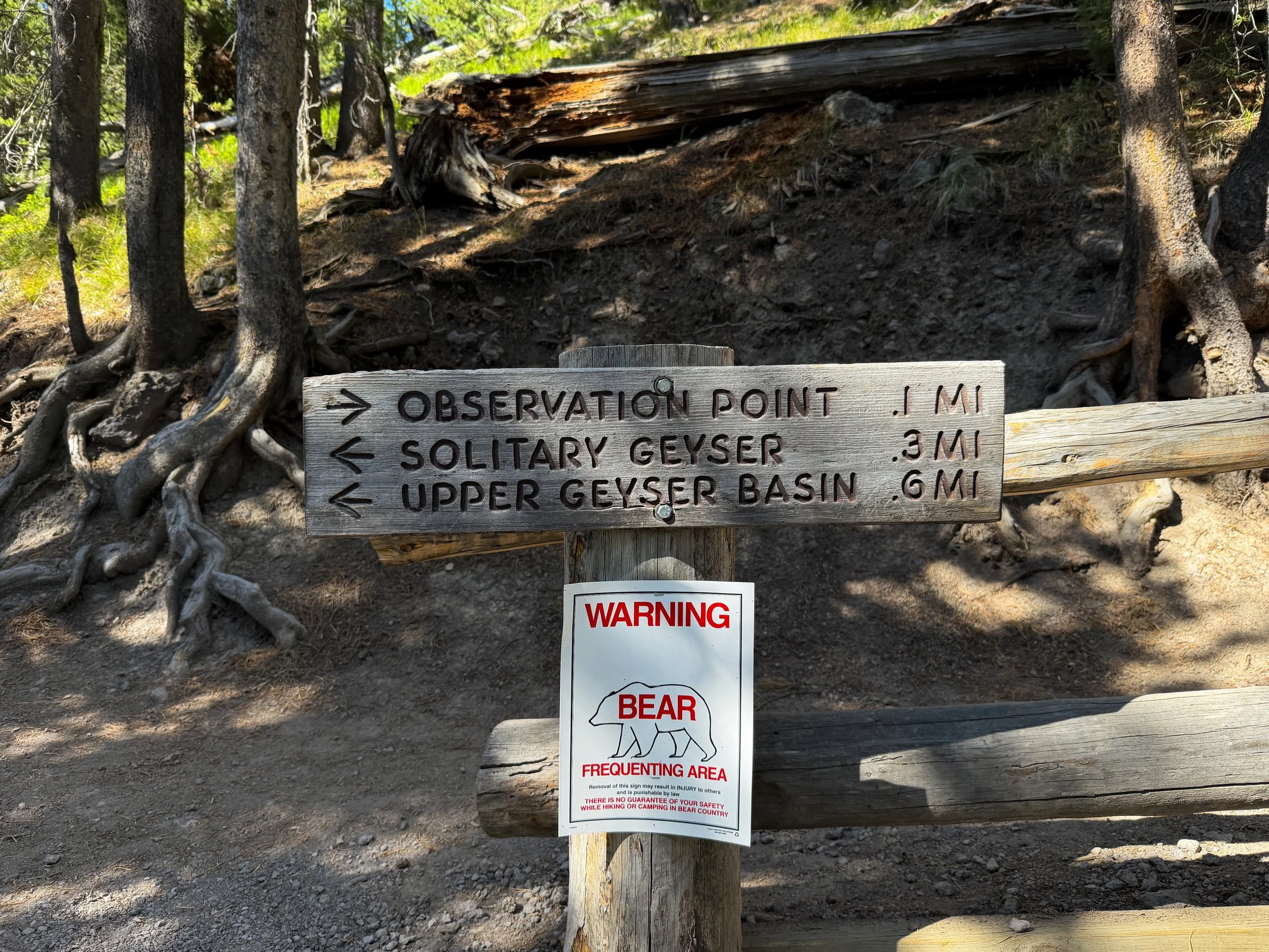 Observation Point Hike Yellowstone National Park Wyoming