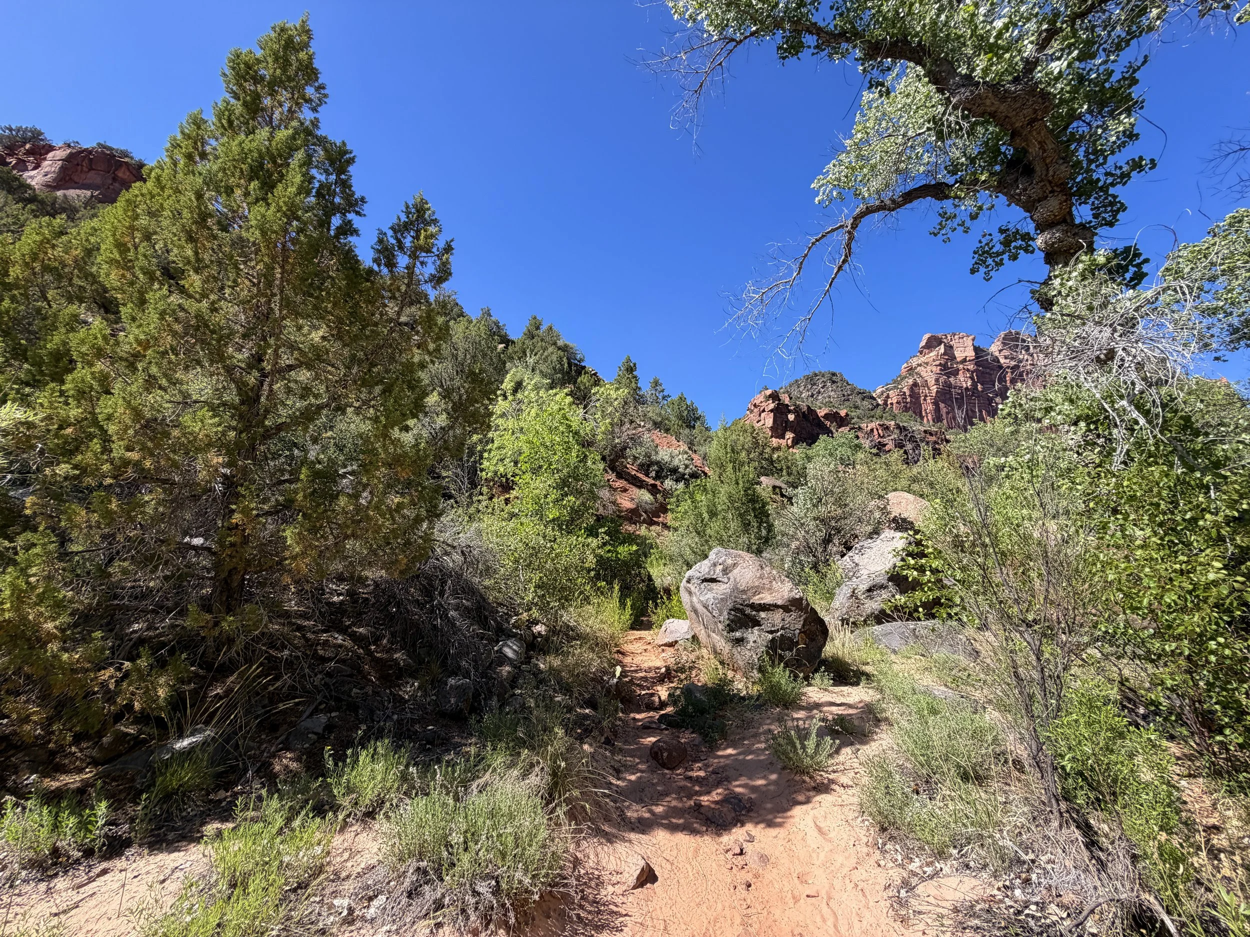 Subway Hike Zion National Park Utah