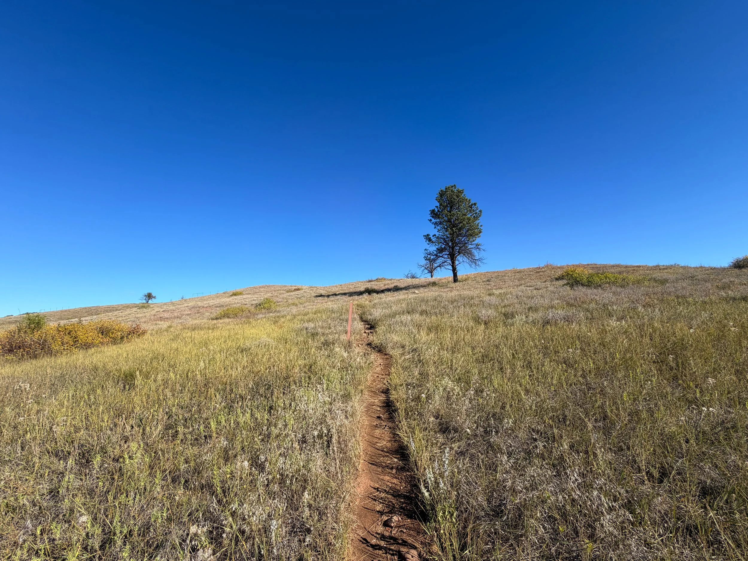 Prairie Vista Trail Wind Cave National Park South Dakota