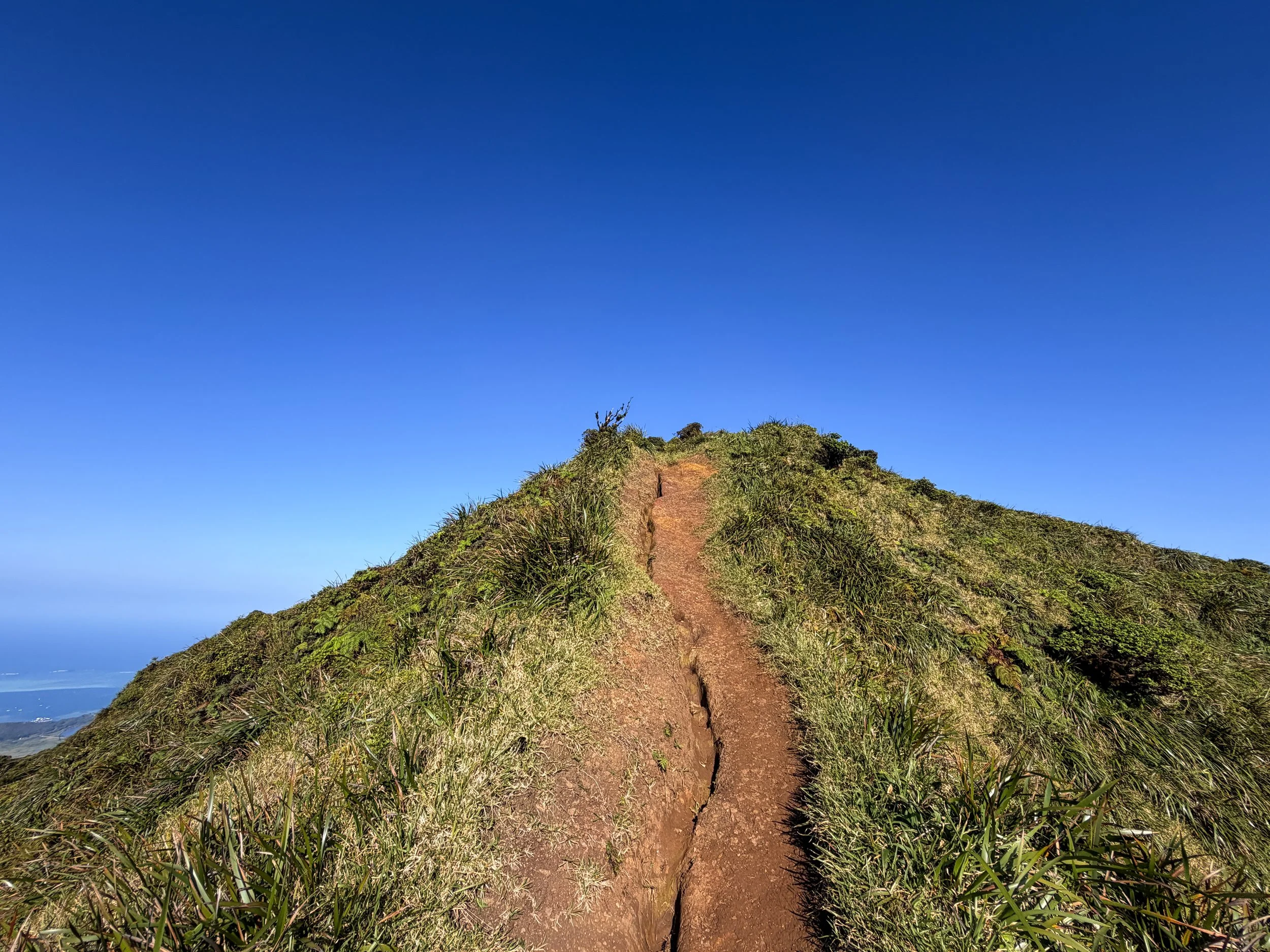 Moanalua Middle Ridge Trail to Stairway to Heaven Oahu Hawaii