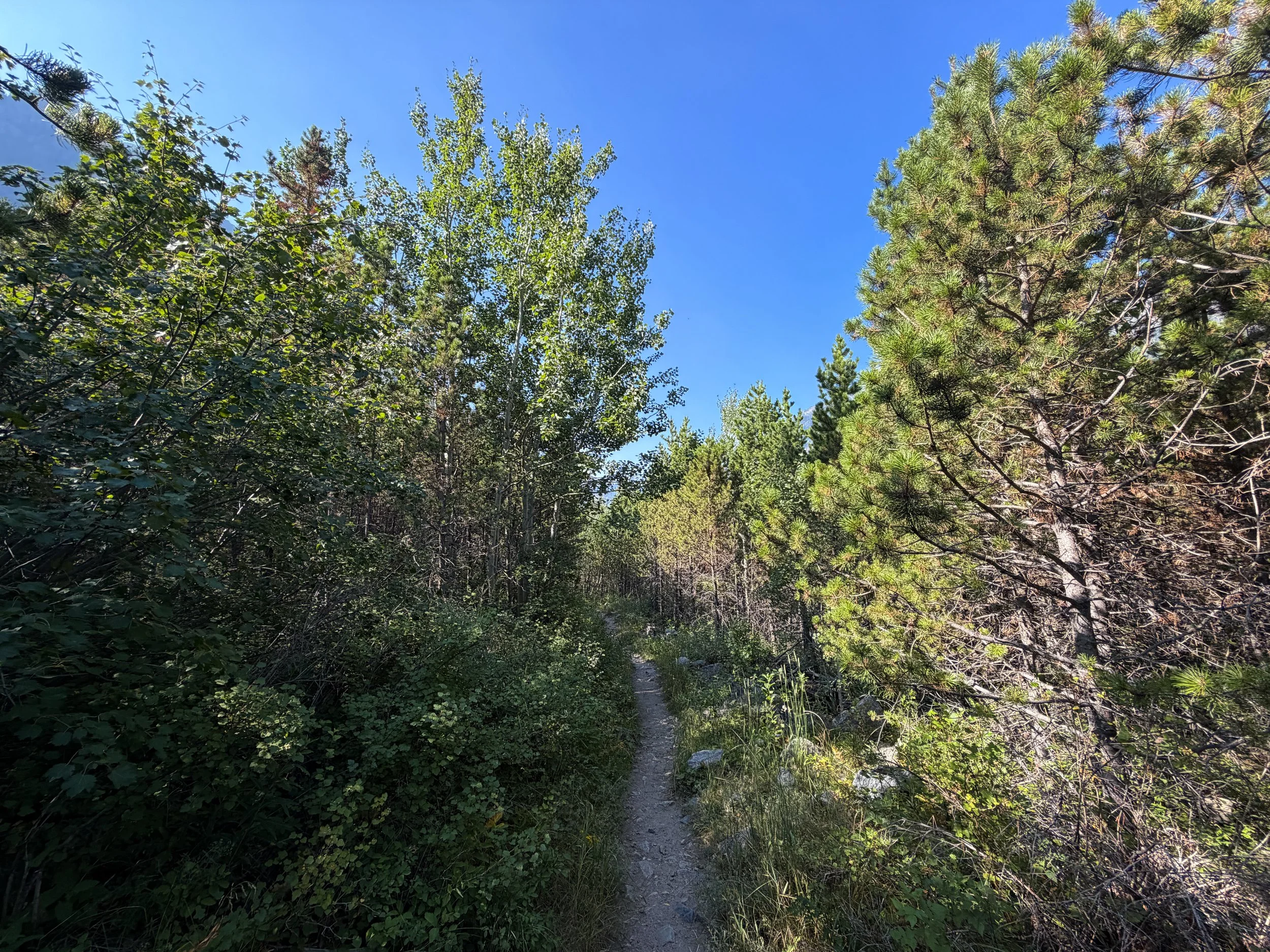 East Rosebud Trail Beartooth Mountains Montana