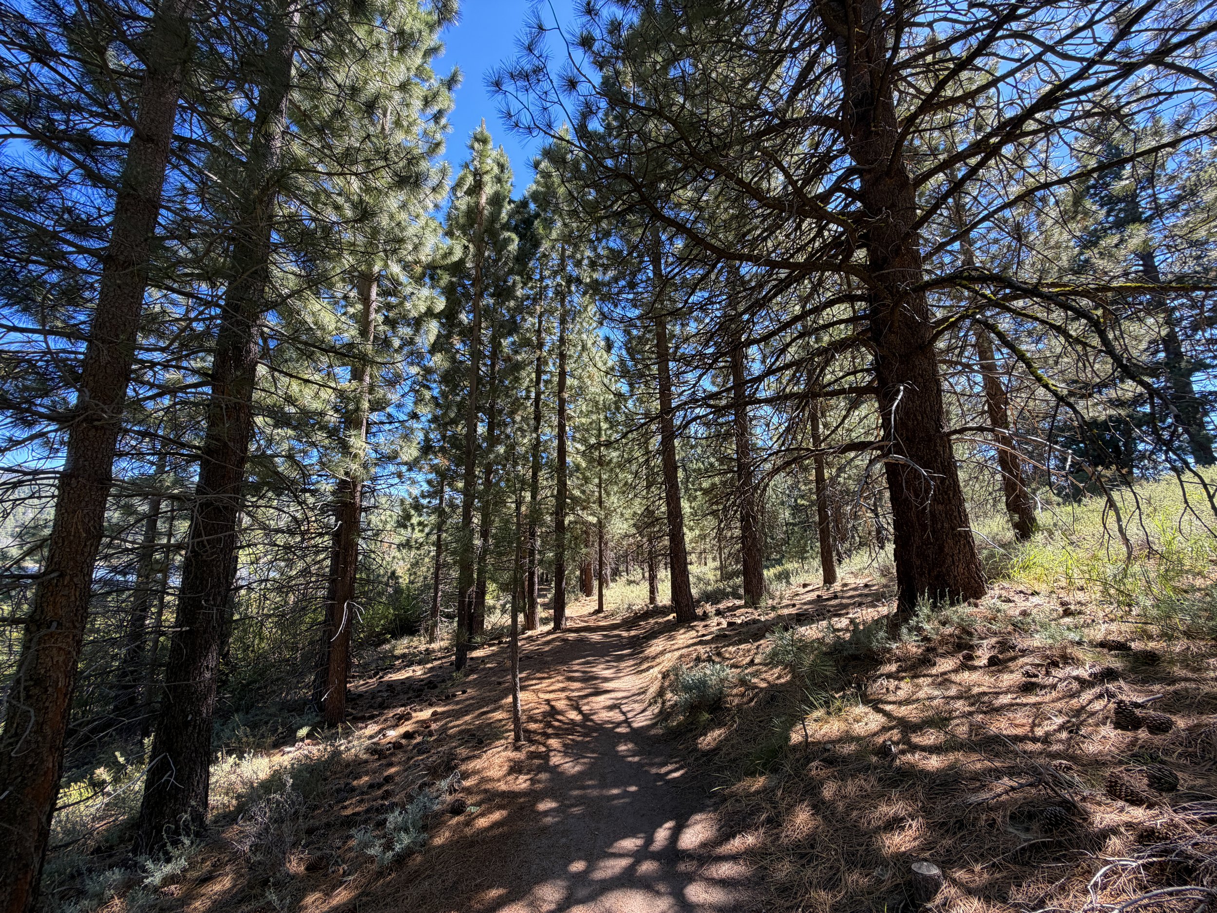 Spooner Lake Loop Trail Lake Tahoe Nevada