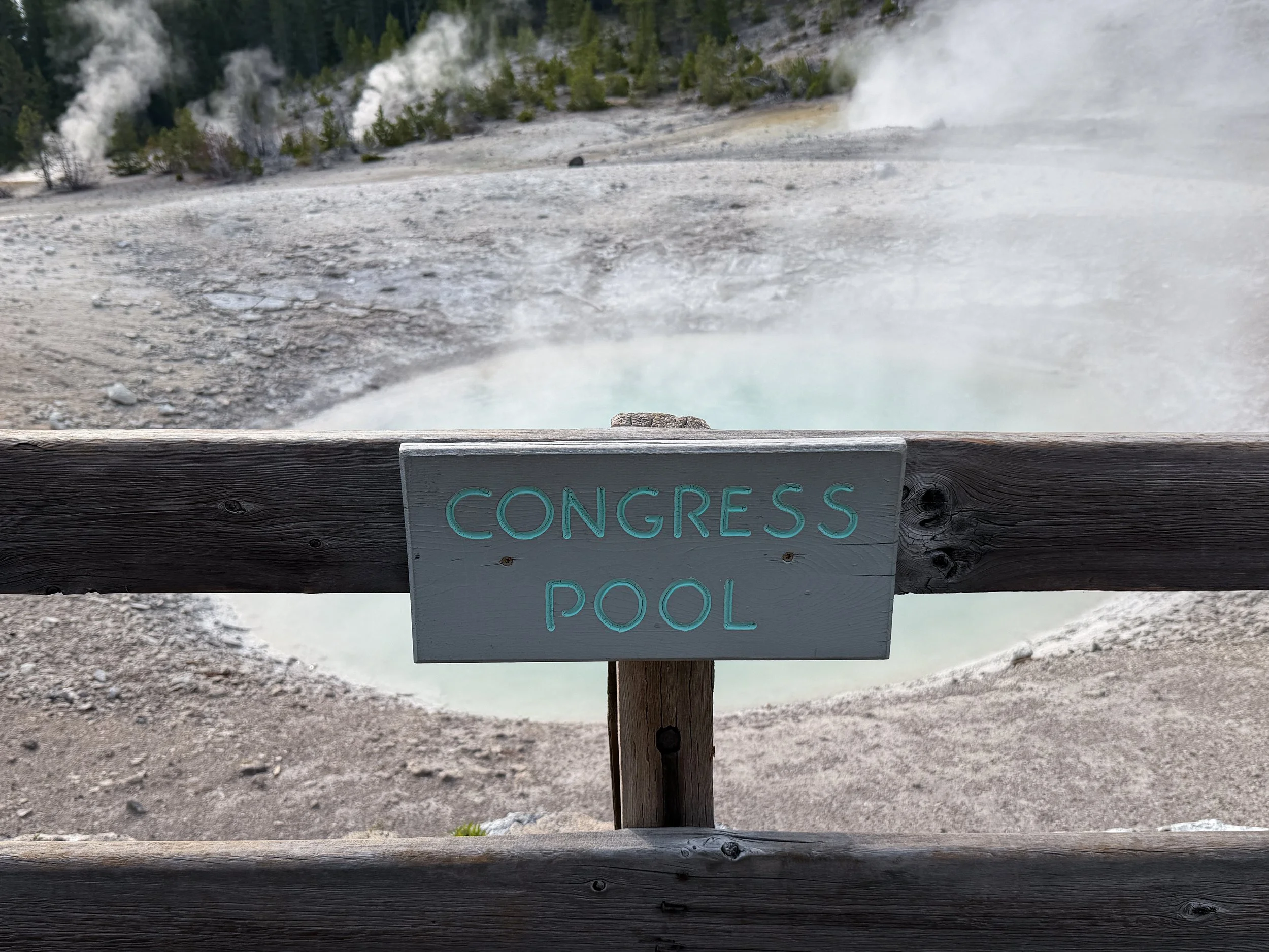 Congress Pool Norris Geyser Basin Trail Yellowstone National Park Wyoming