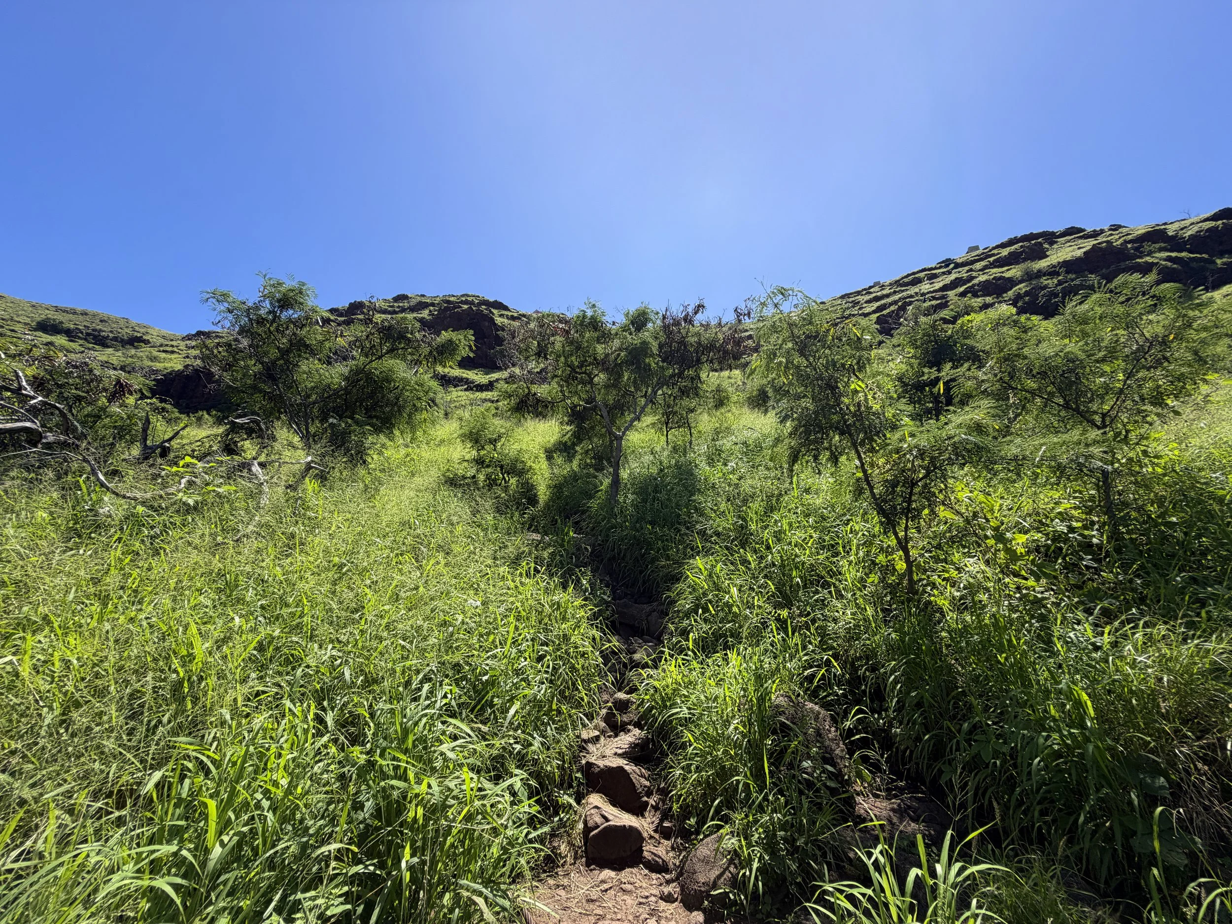 Puu O Hulu Hike Oahu Hawaii