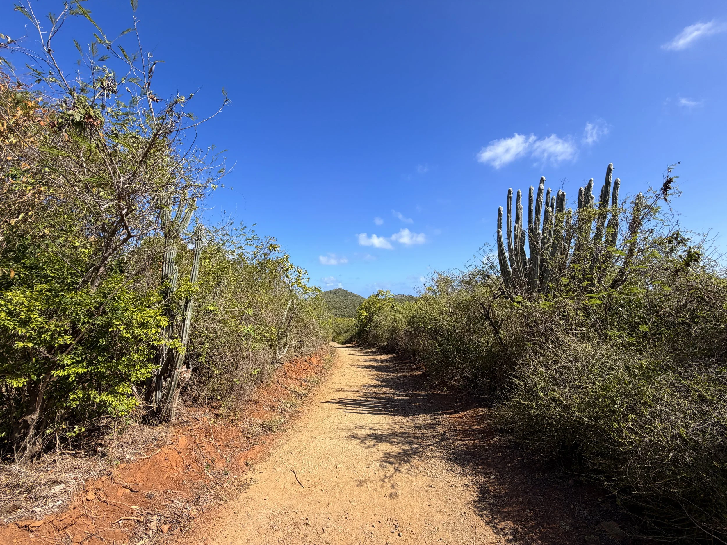 Drunk Bay Trail Virgin Islands National Park