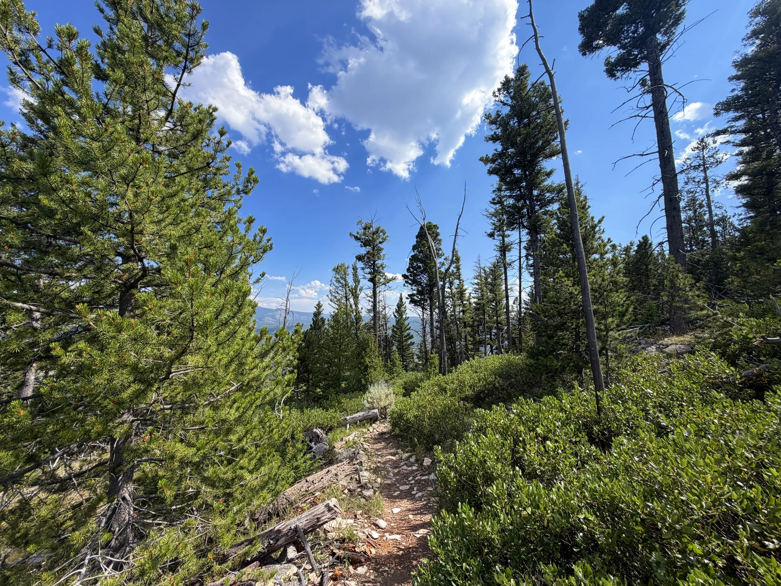 Bunsen Peak Trail Yellowstone National Park Wyoming