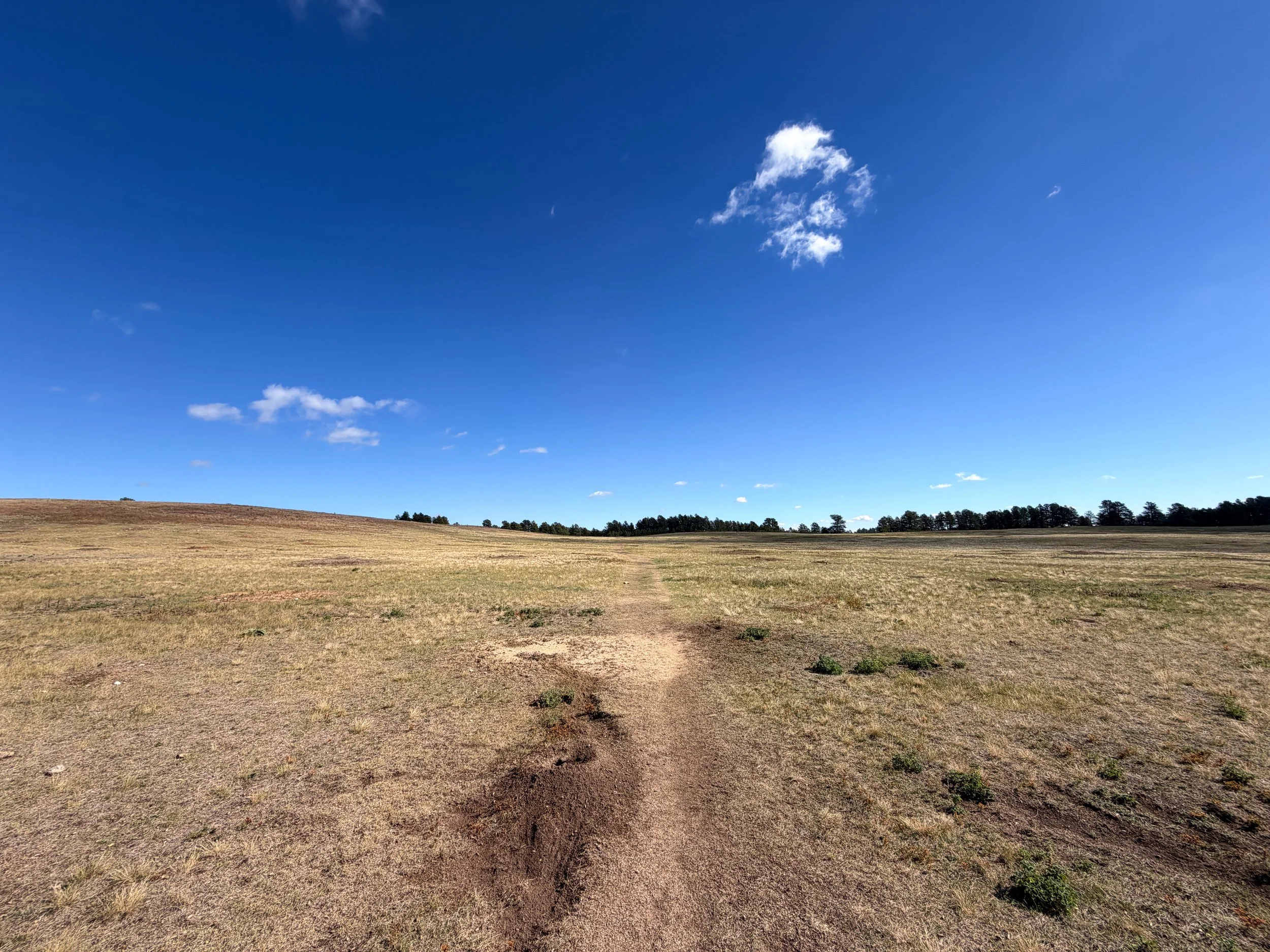 Lookout Point Hike Wind Cave National Park South Dakota