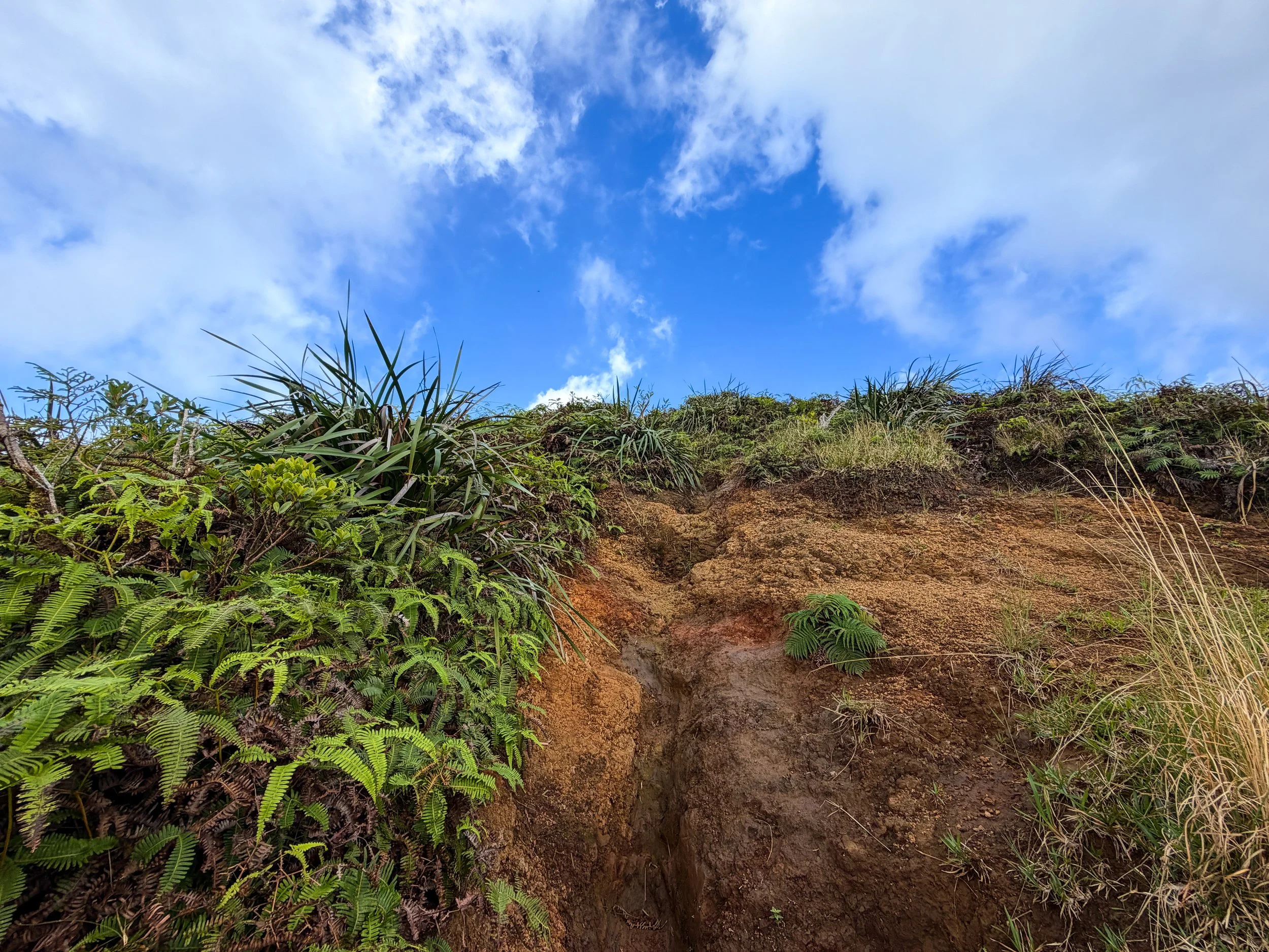 Kaau Crater Trail Oahu Hawaii