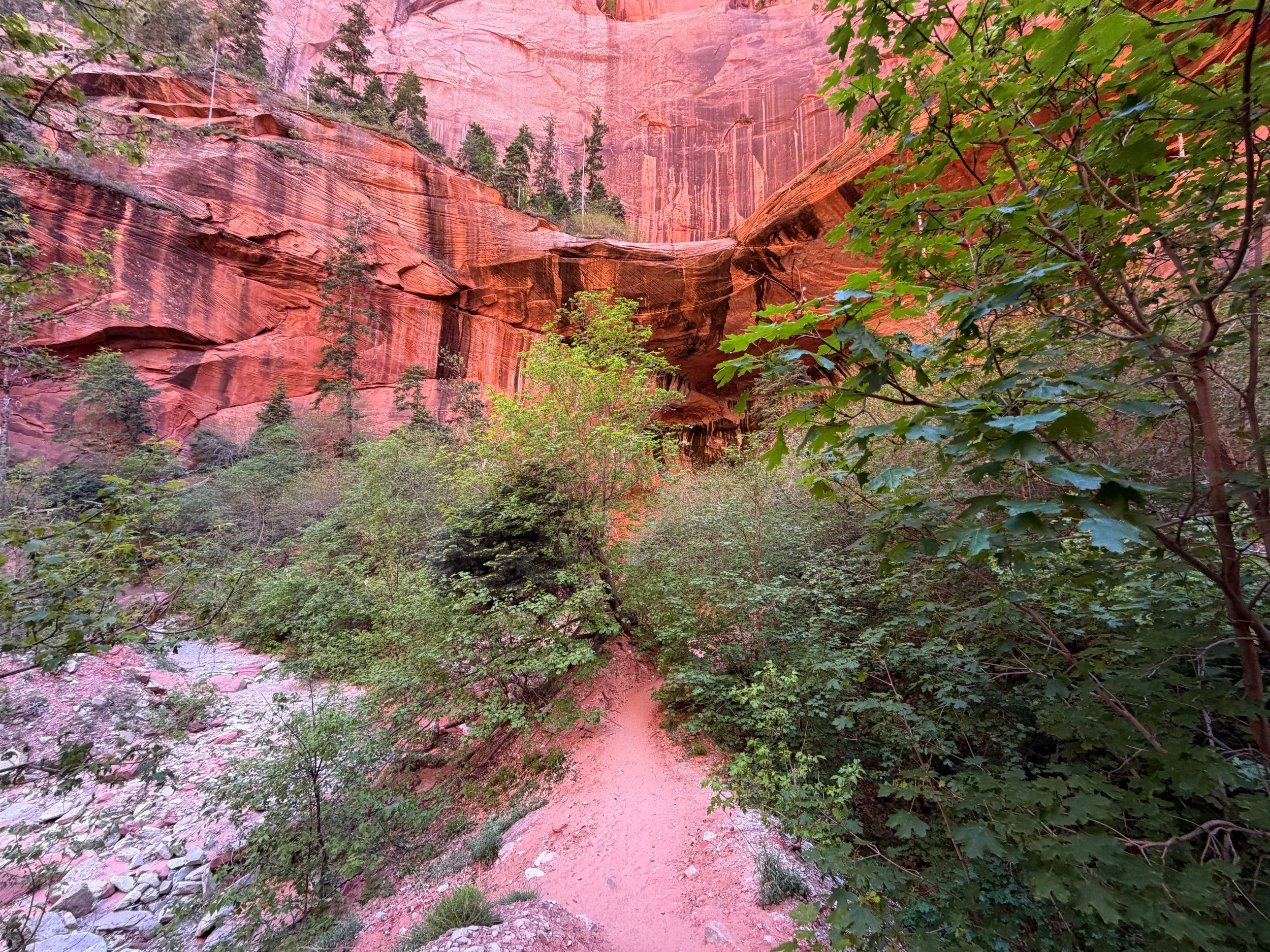 Taylor Creek Trail Zion National Park Utah