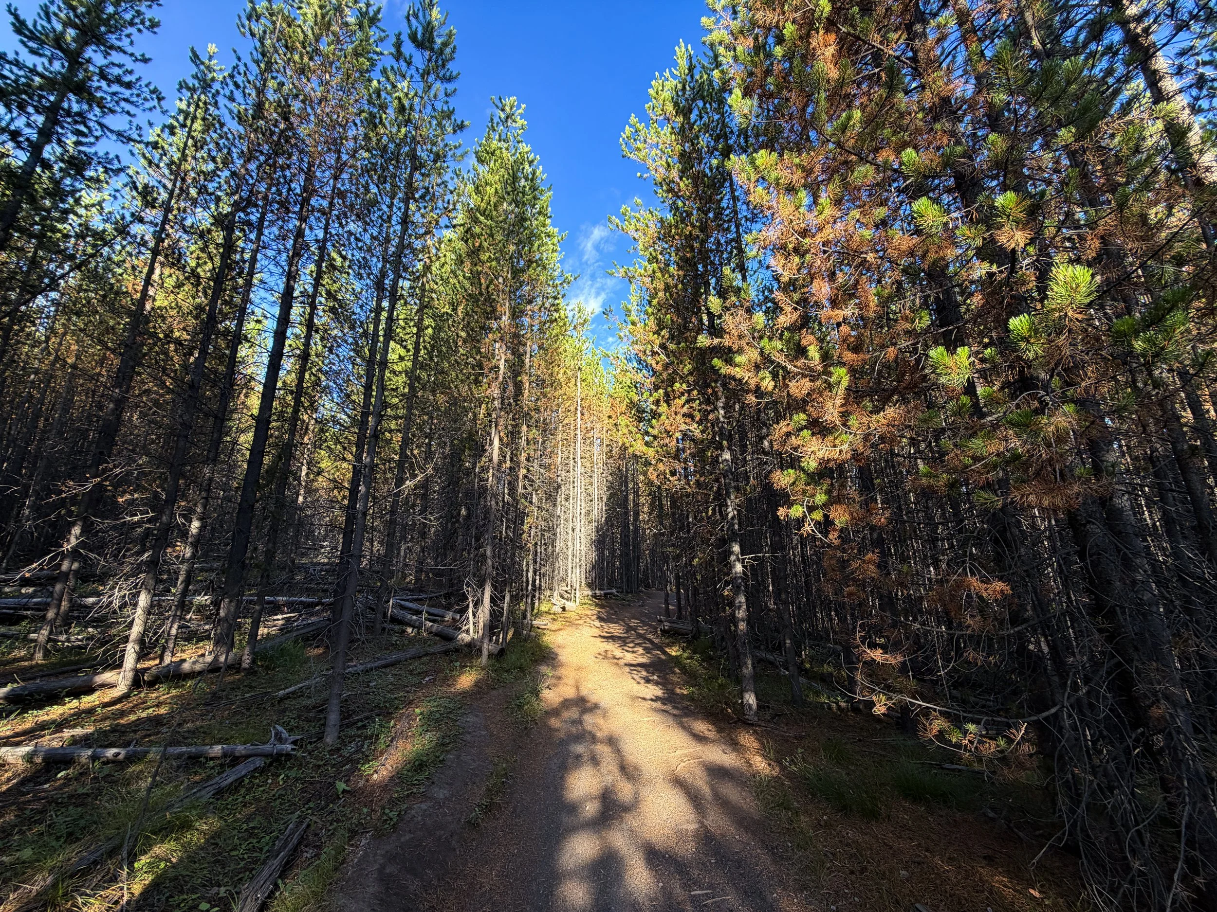 Fairy Falls Trail Yellowstone National Park Wyoming